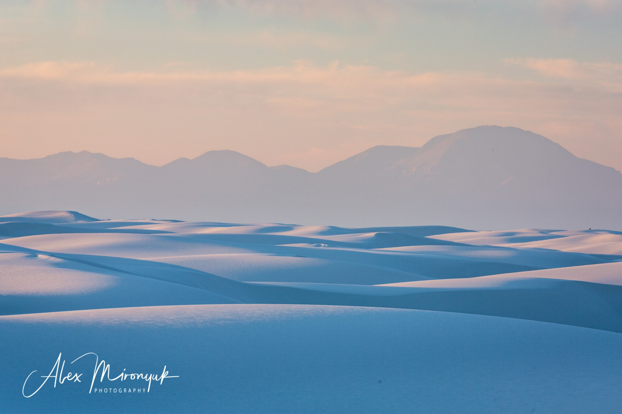 The Best of New Mexico. Pet, Senior, Landscape, portrait studio, photographer in Miami and Sou