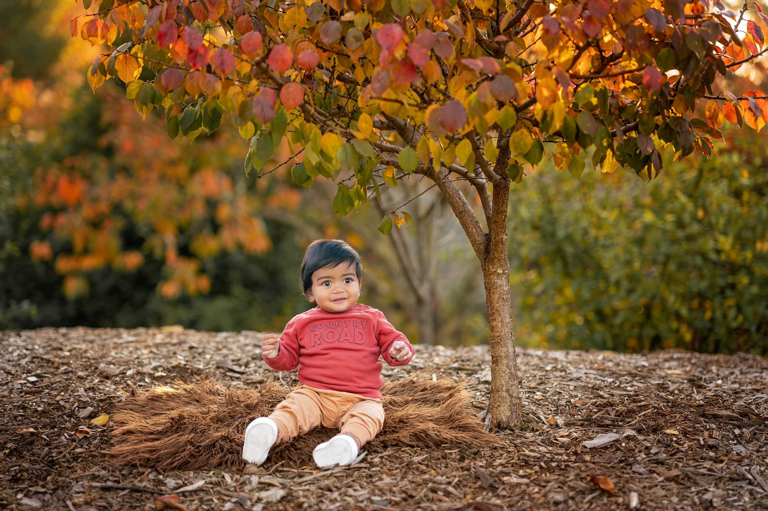 Autumn Family and Pregnancy Photoshoot in Sydney