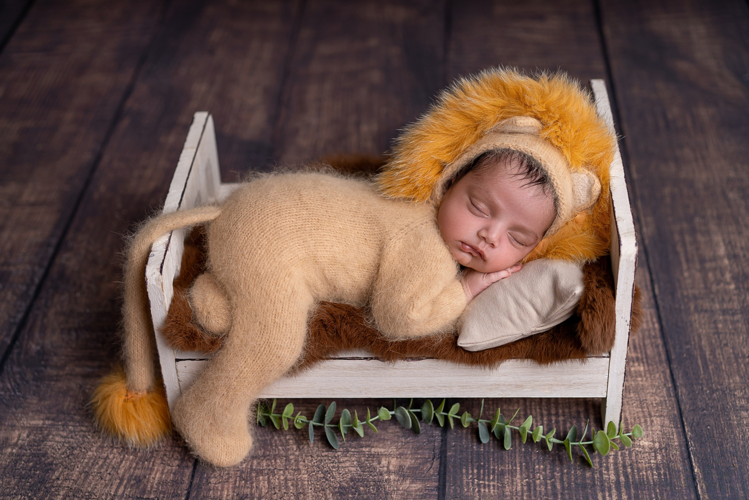 Neugeborenenfotos in Berlin – Studio oder bei Ihnen zu Hause