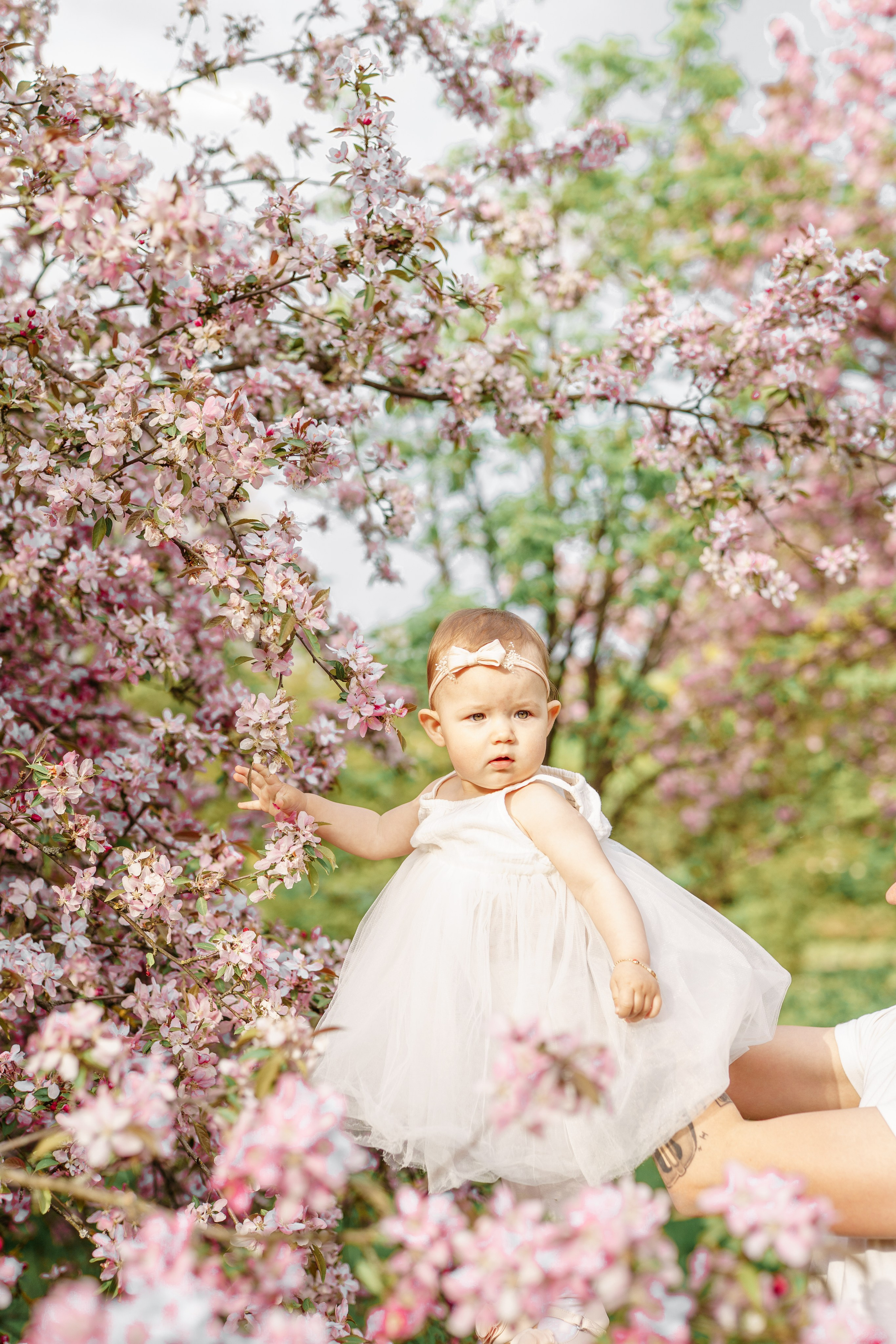 Sesja w plenerze. Fotograf Łódź - sesja ciążowa, noworodkowa, dziecięca. Studio w Łodzi