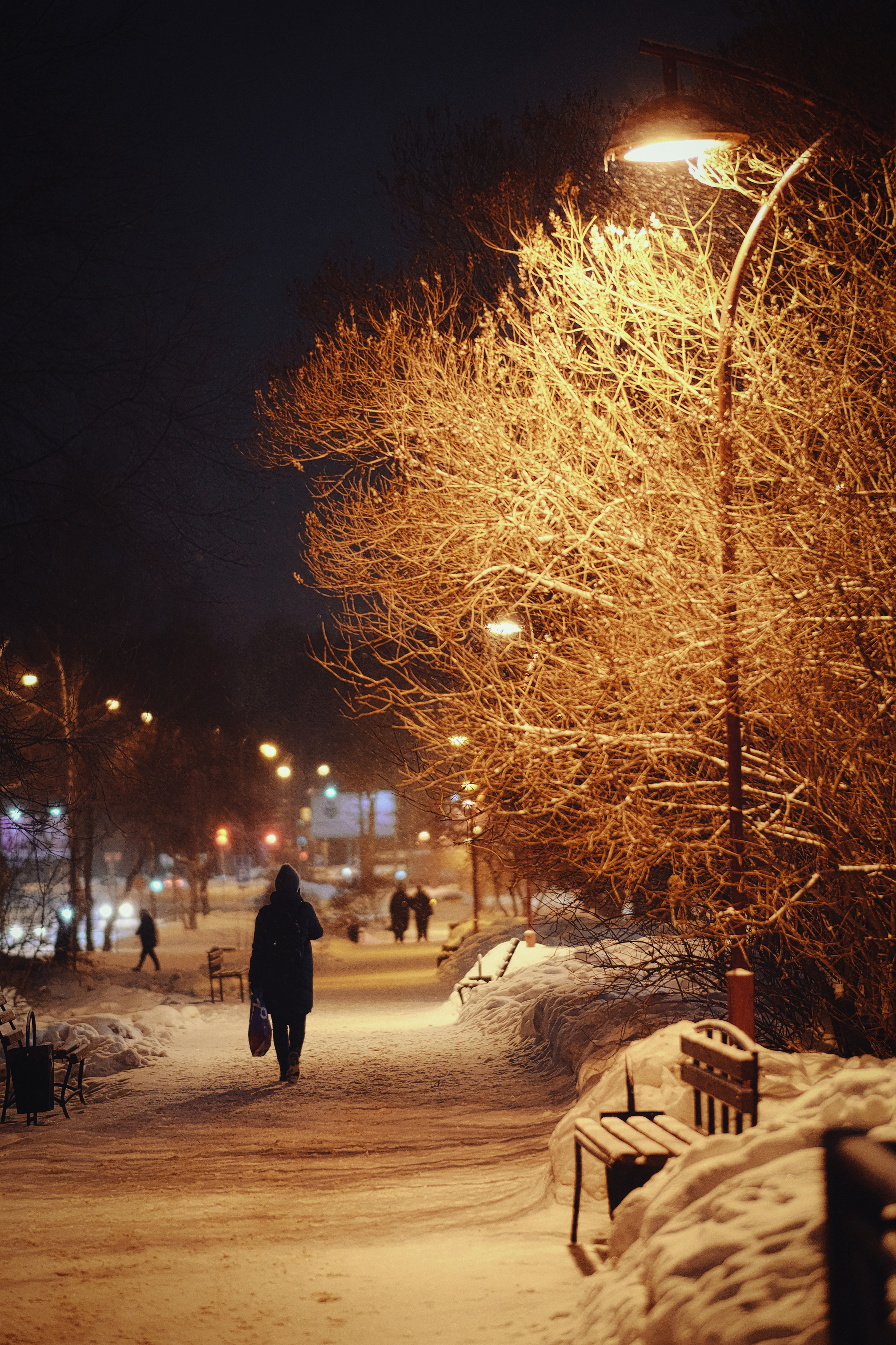 Улица Братьев Игнатовых | Ulitsa Brat'yev Ignatovykh, Perm, Russia | Night Photography Russia