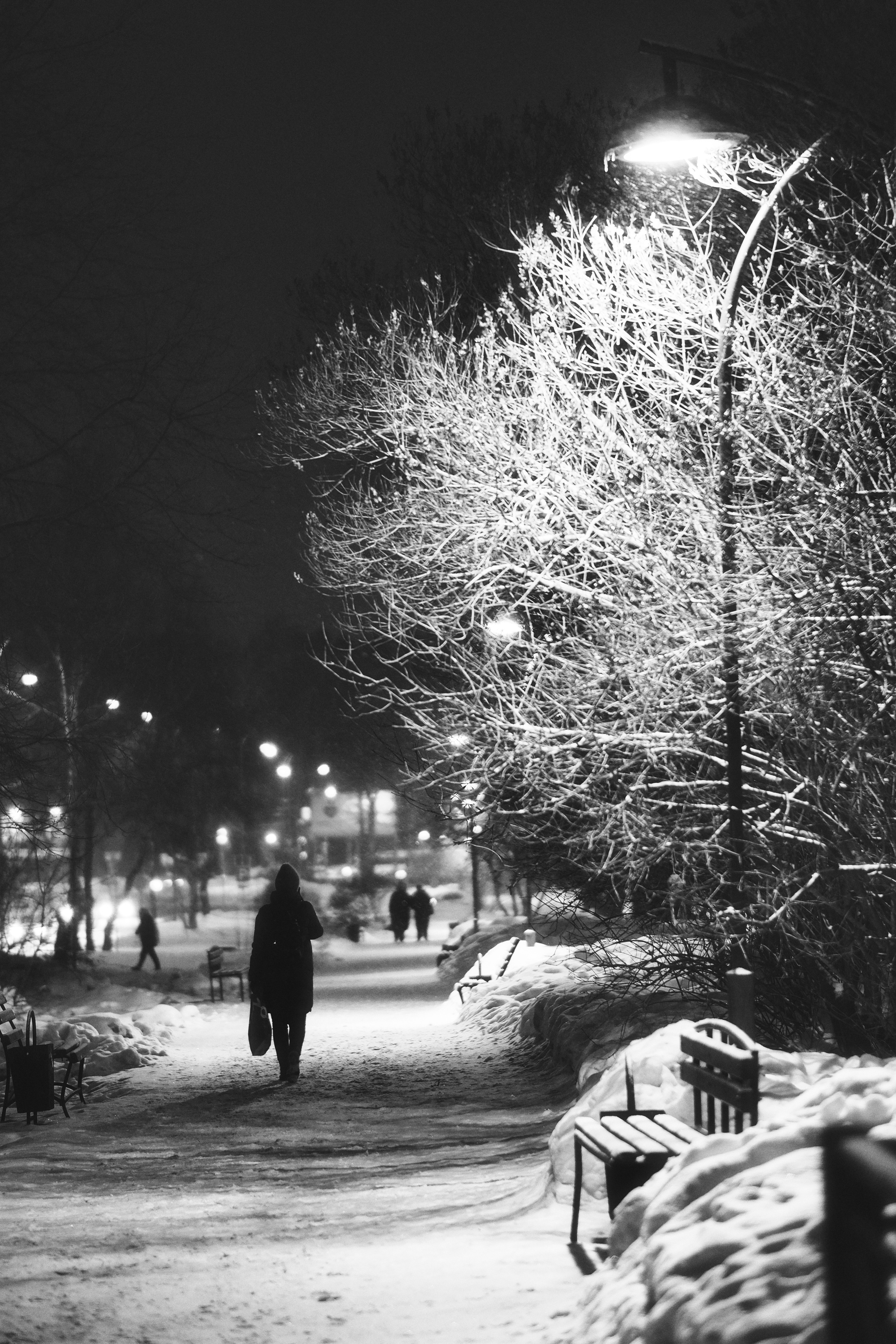 Улица Братьев Игнатовых | Ulitsa Brat'yev Ignatovykh, Perm, Russia | Night Photography Russia