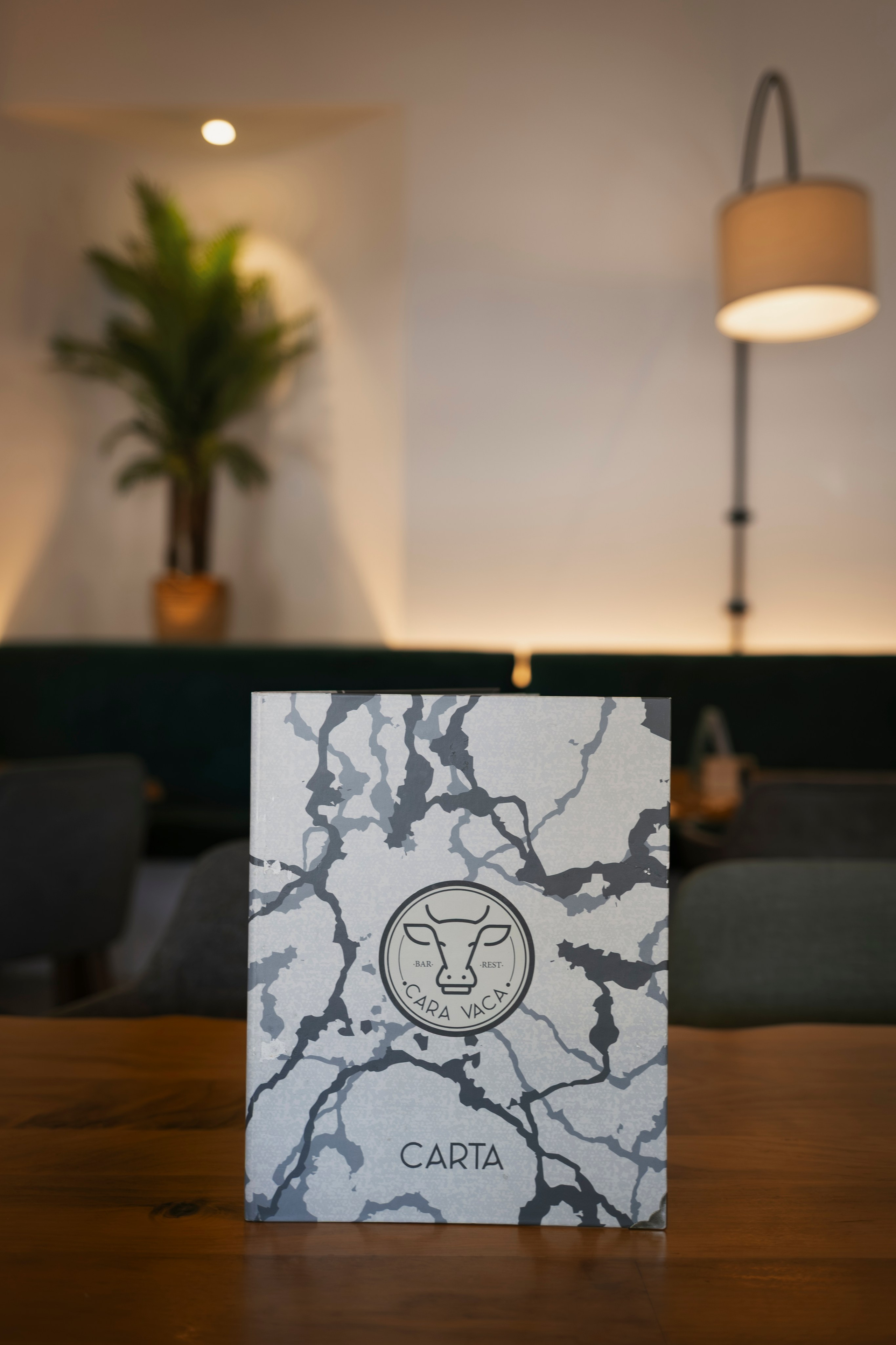 RedFoto. Bolery Fotografía