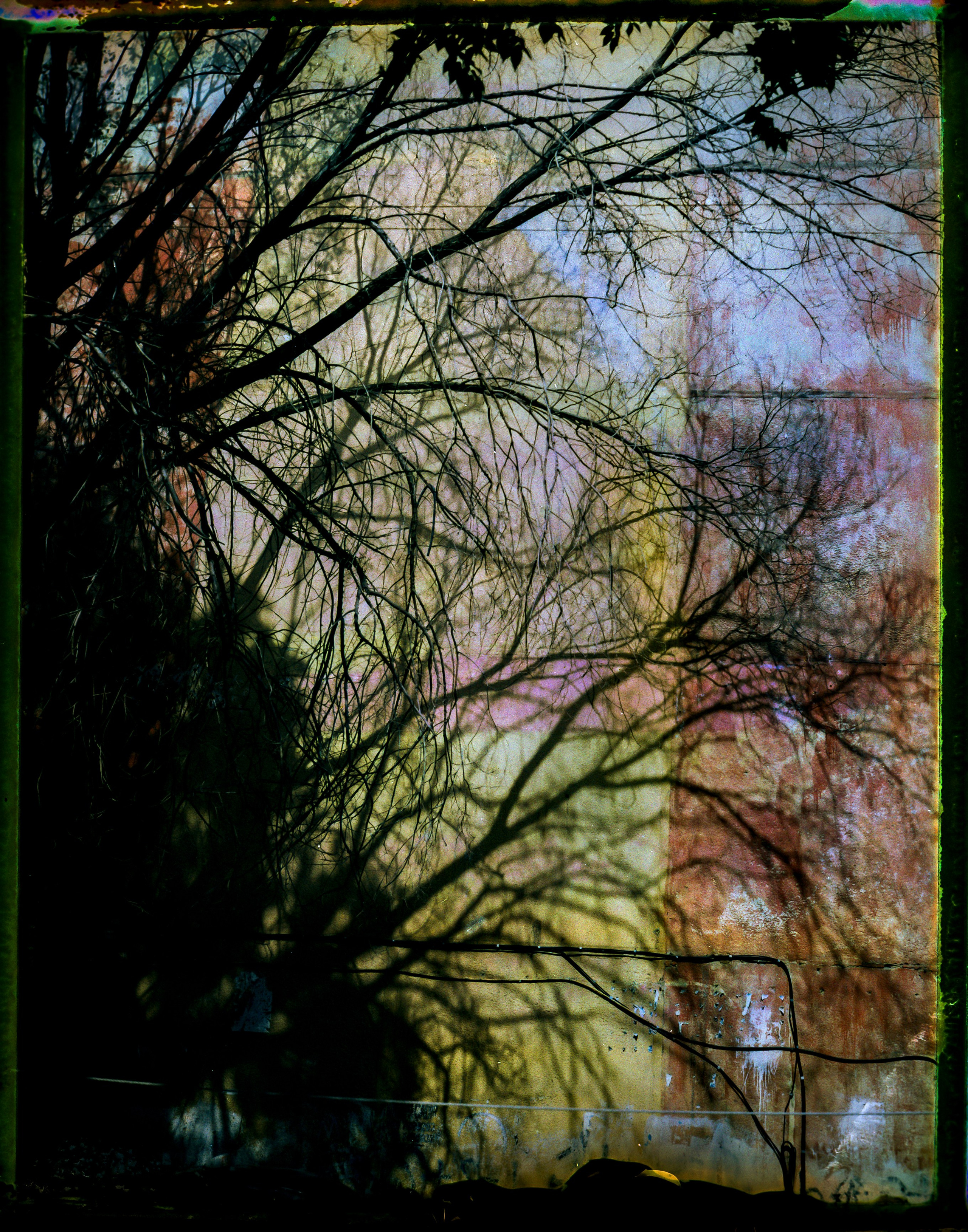 POLAROID. Www.sananaleskerov.com