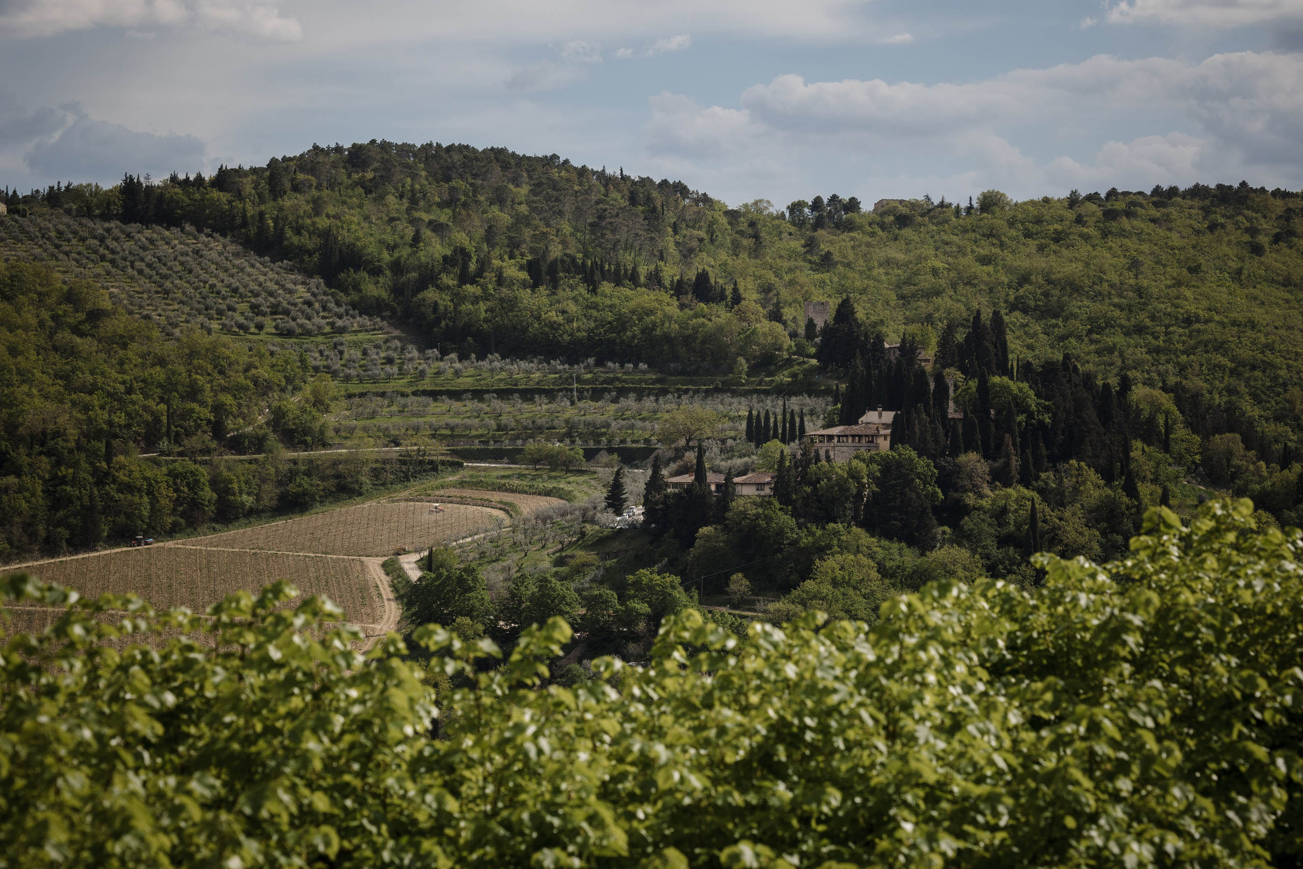 Luxury Destination Wedding in Tuscany | Castello Vicchiomaggio. Lisbon Wedding Photographer | Timeless Documentary Wedding Photography