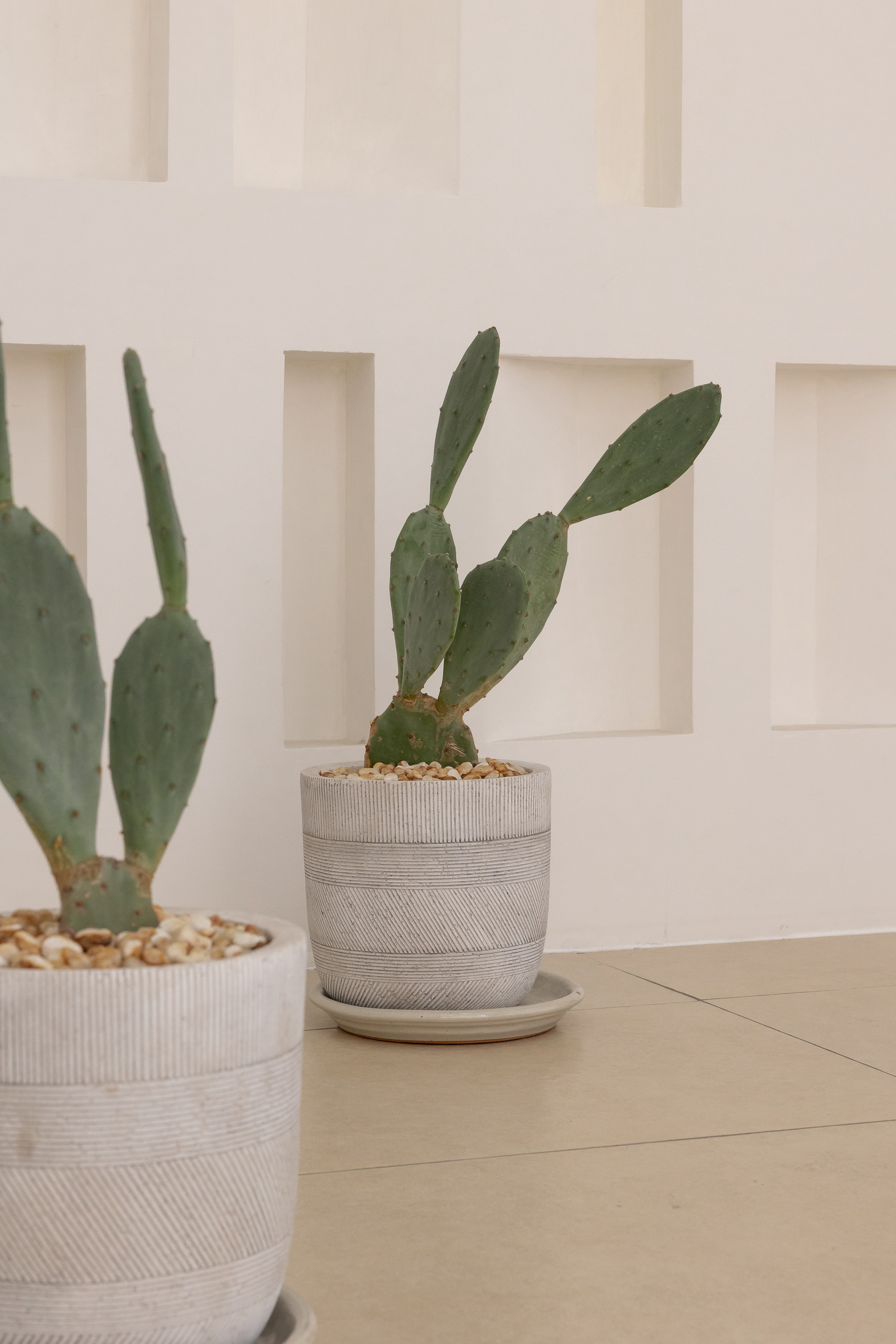 Rental. Dune Zone. Photo and video production in Dubai UAE