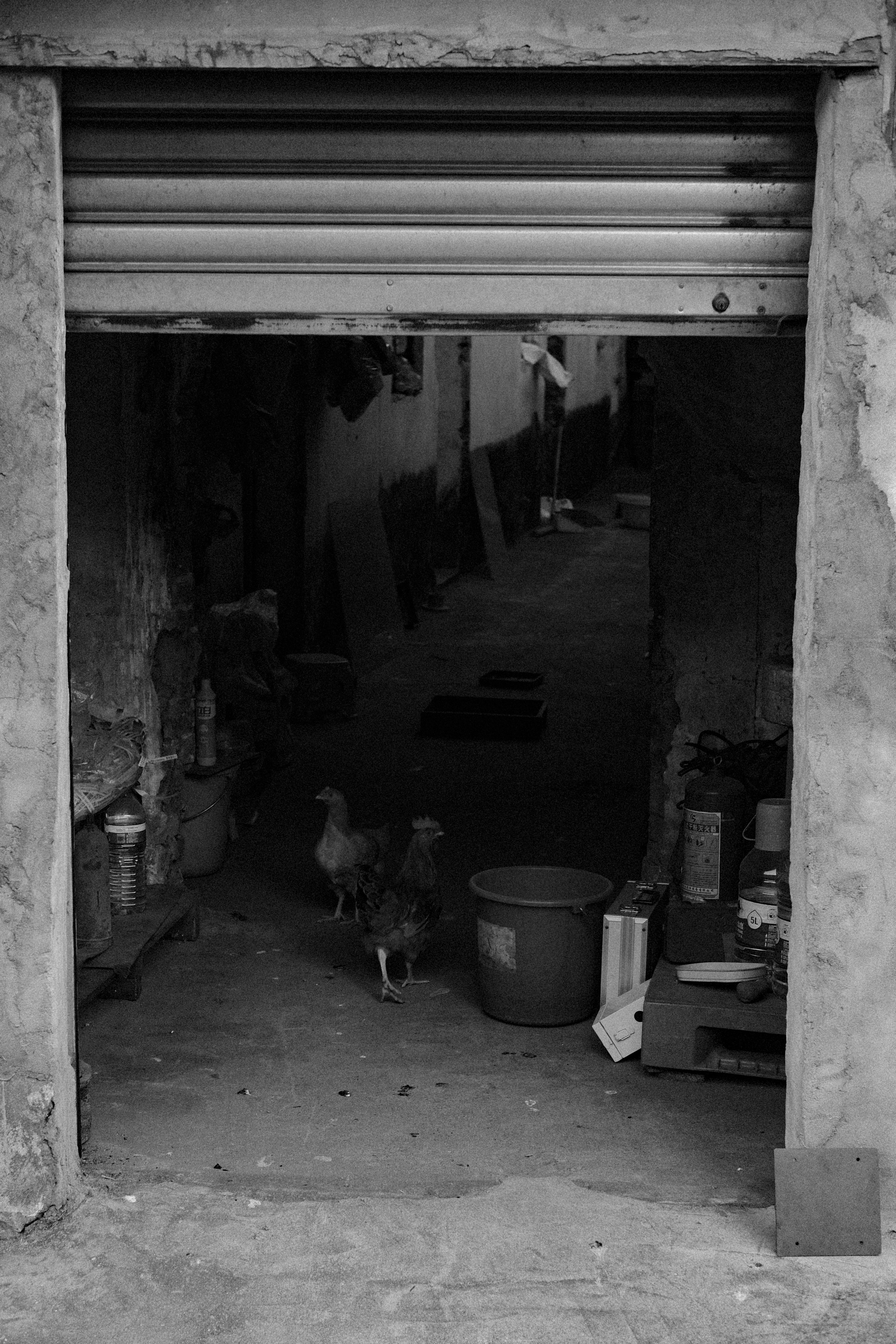 Monochrome Magic: Jiangmen Street Photography. 中国街头摄影 | The Streets of China Through My Eyes | 深圳