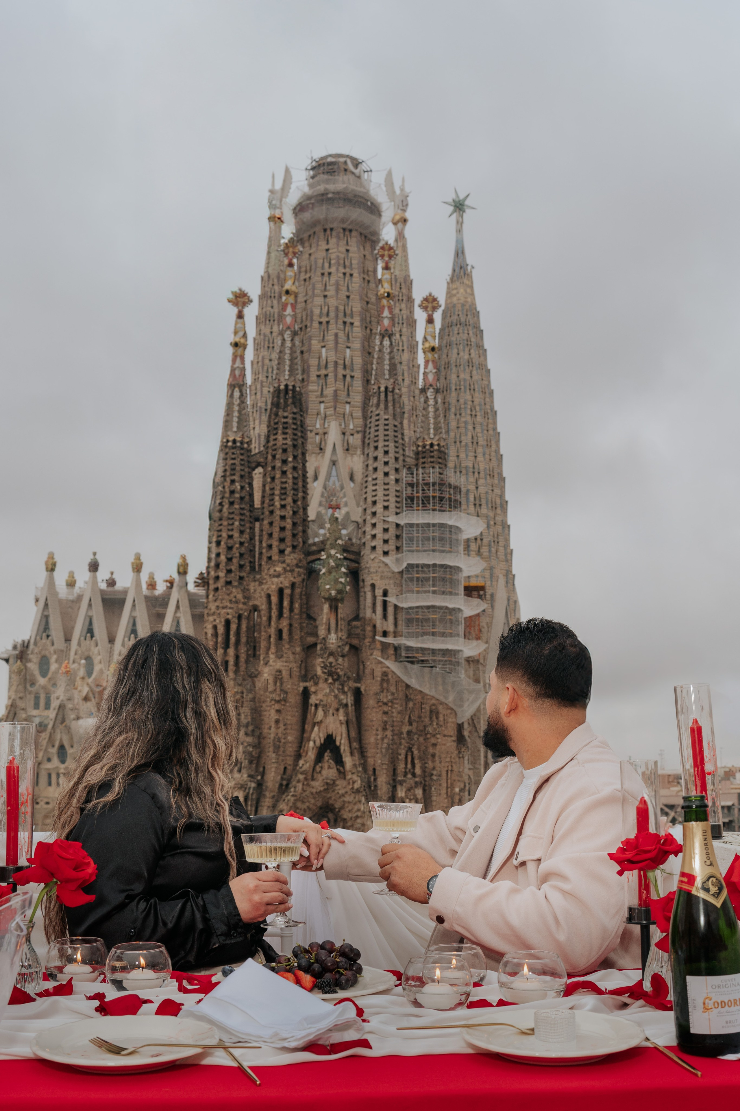 Sagrada Familia Terrace Proposal