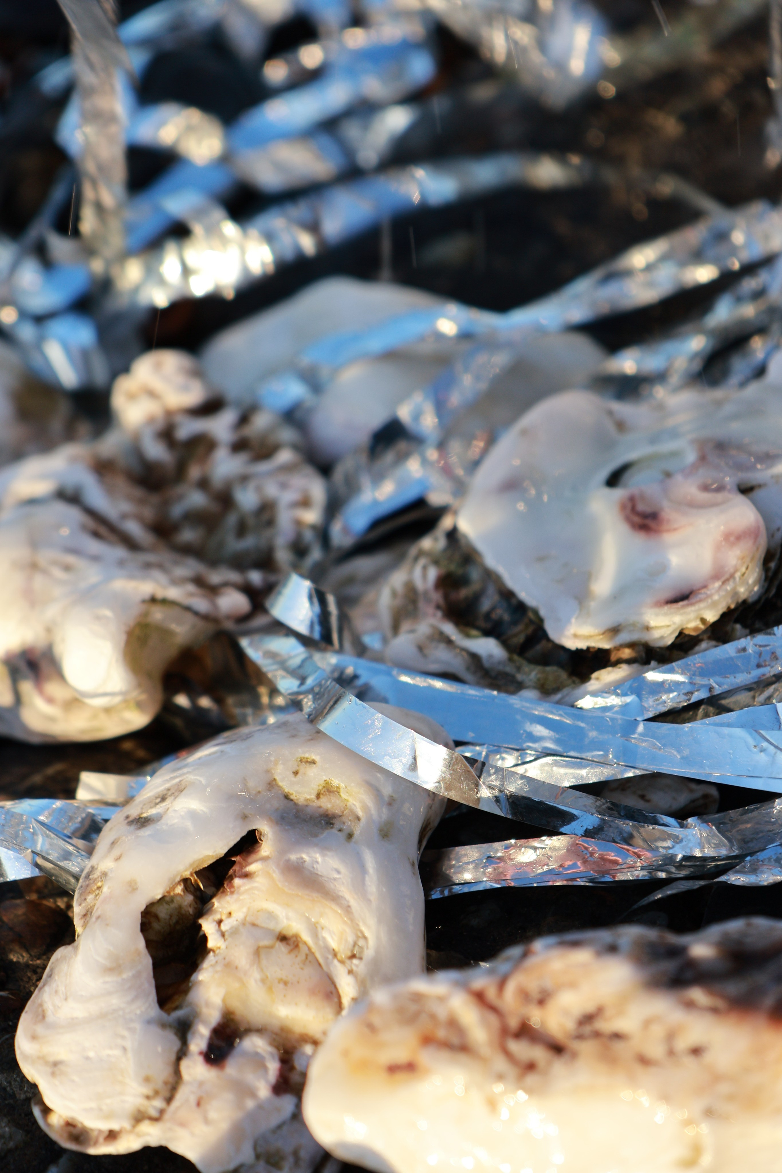 Anastasia M Photographer