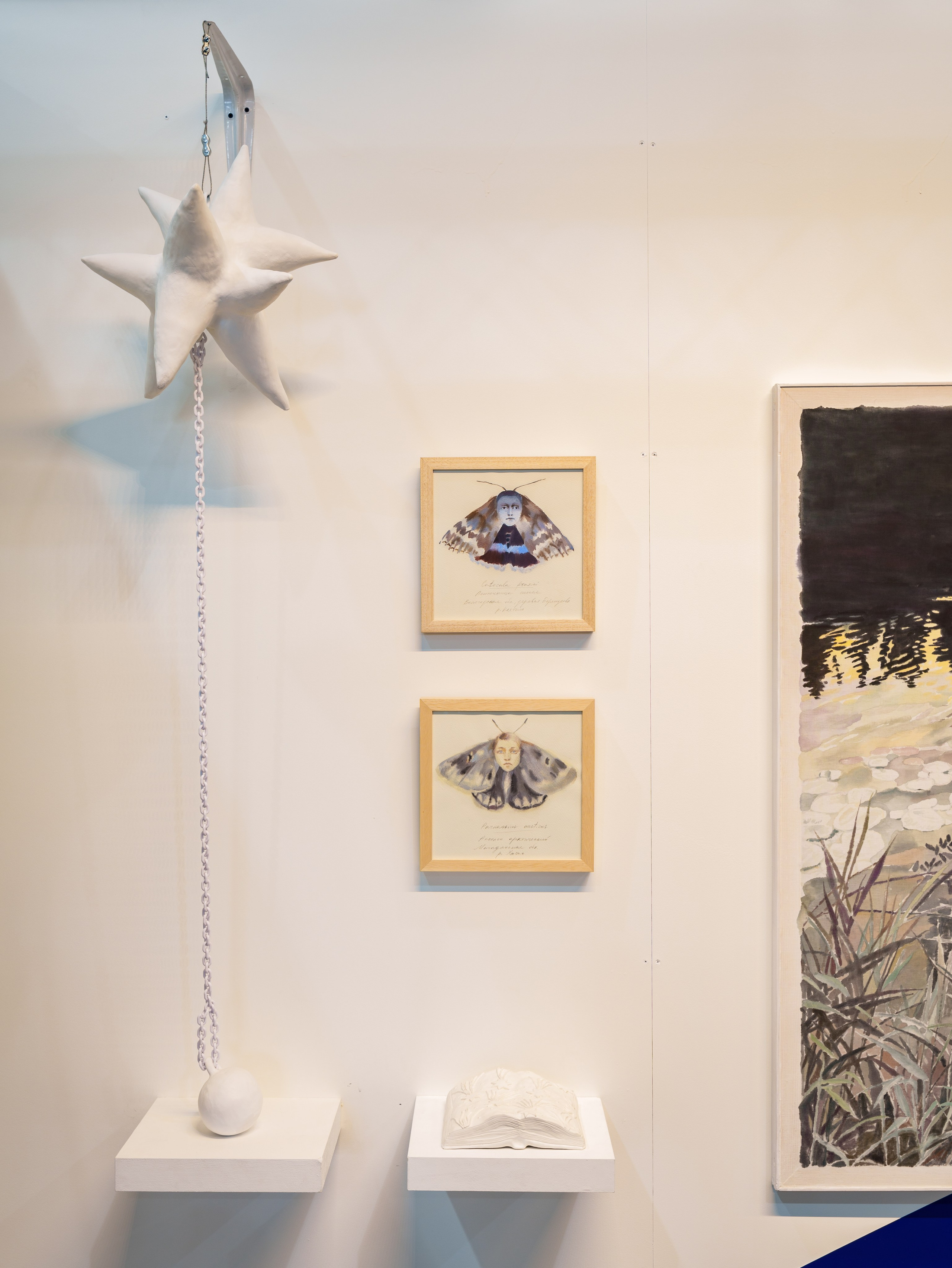 PAF' 25. Alina Kugush