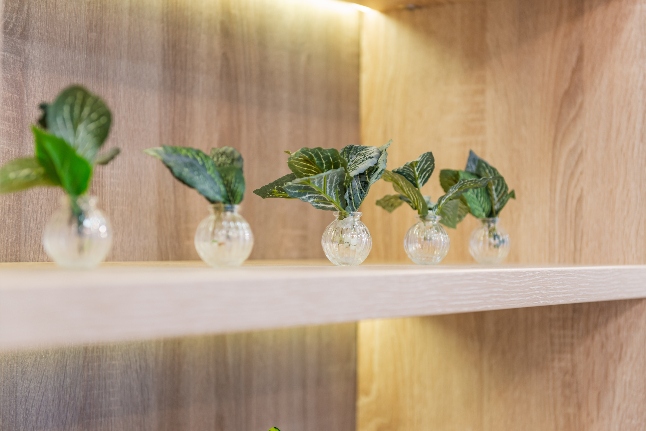 Салон красоты Империя цвета. ФОТОГРАФ МЕКСИКА КИНТАНА-РОО