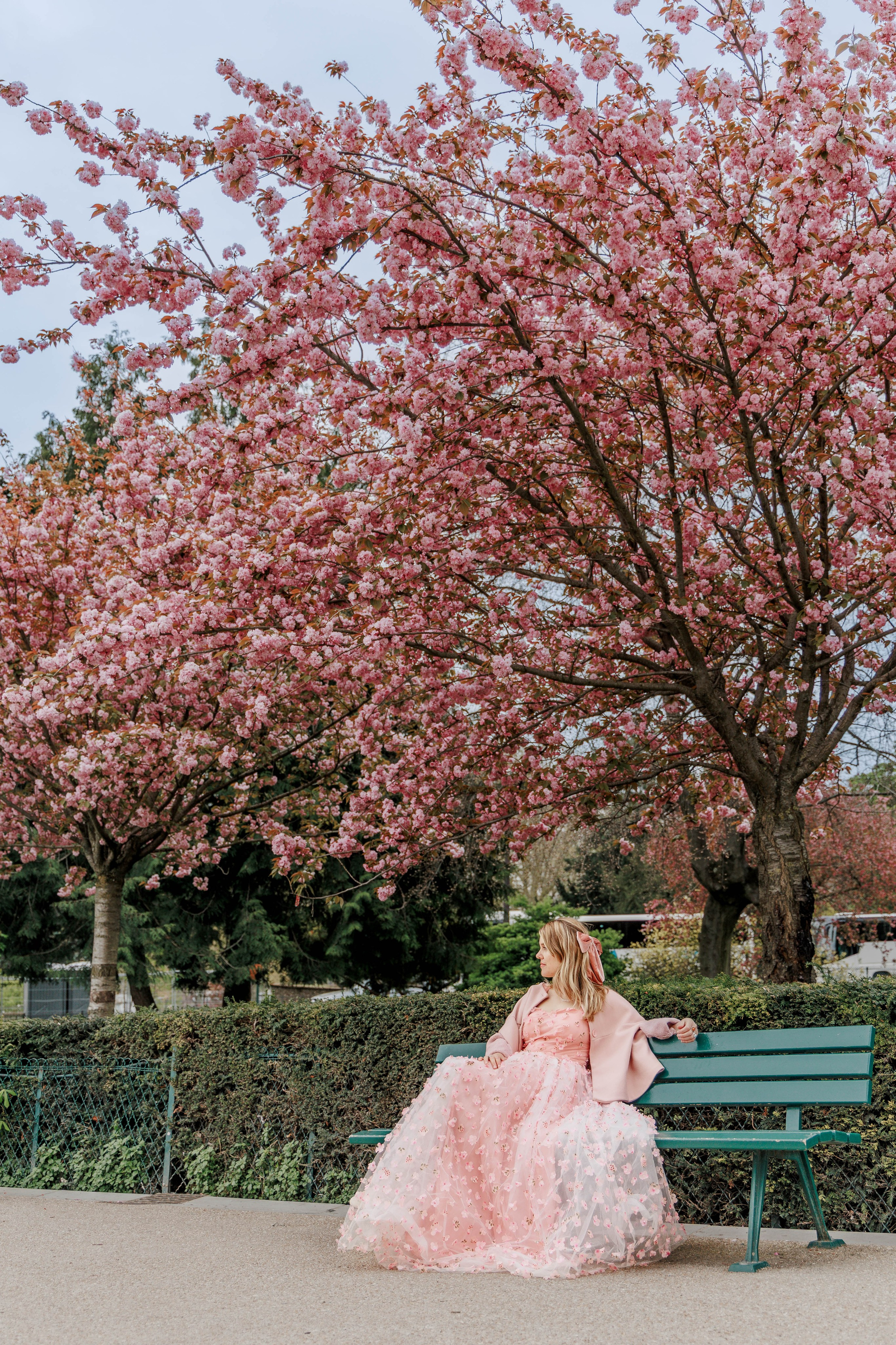 🌸 Cherry Blossoms in Paris: Best Places, Timing & Photoshoot Guide. Photographe à Paris