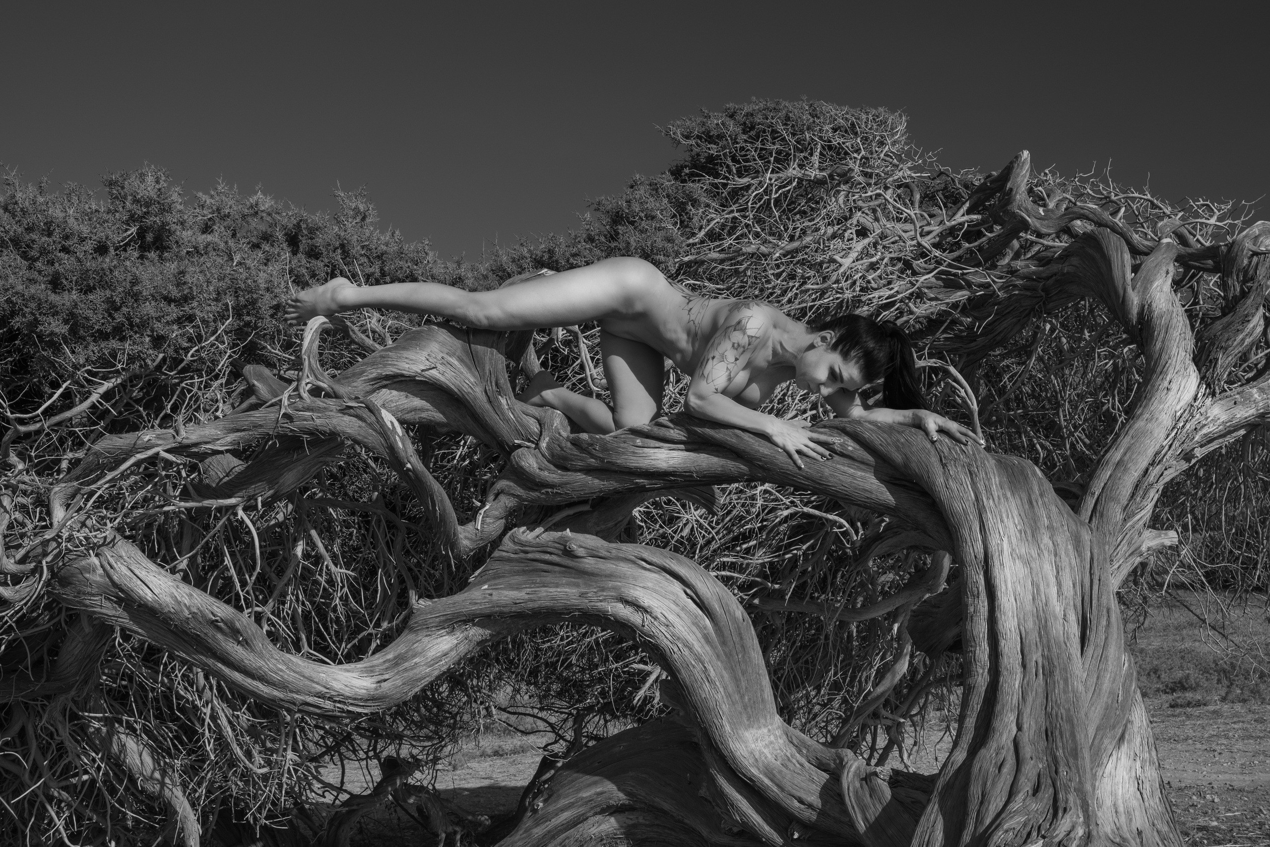 Girl and the tree. Photographer in Cyprus Lena Kirilishina
