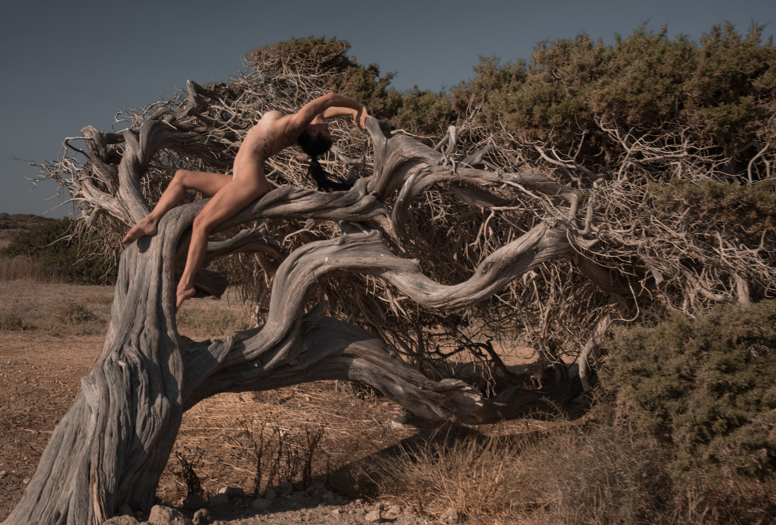 Girl and the tree. Photographer in Cyprus Lena Kirilishina