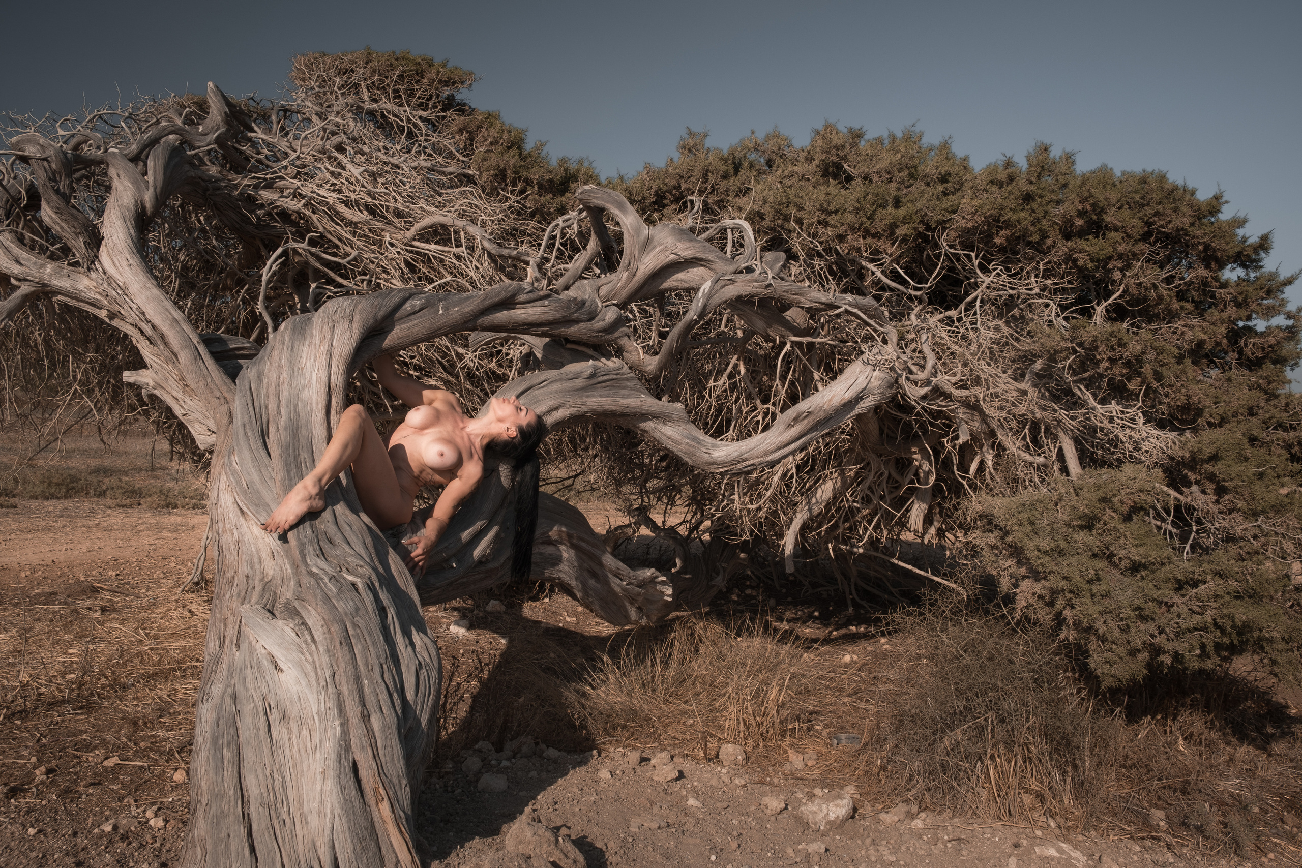 Girl and the tree. Photographer in Cyprus Lena Kirilishina