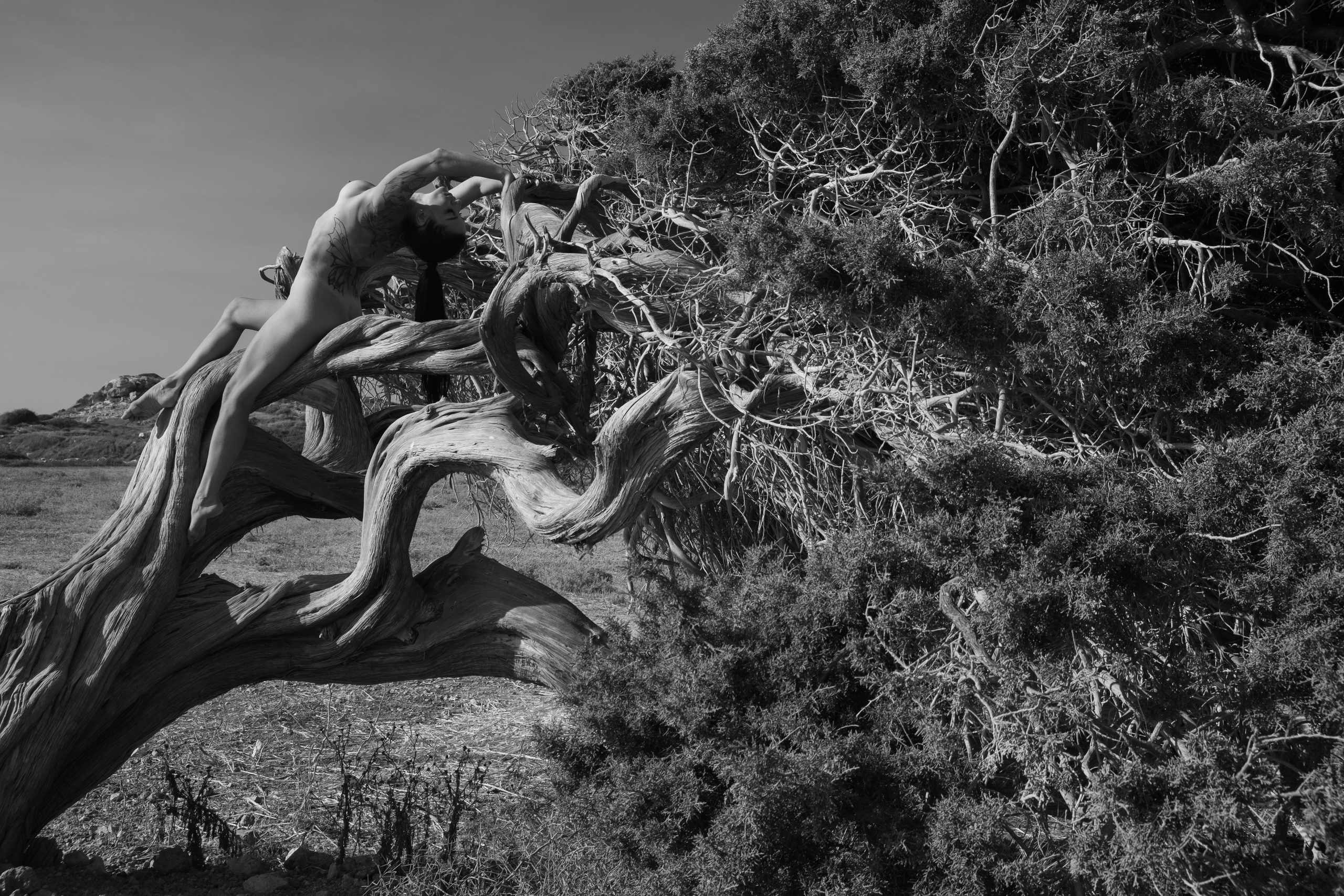 Girl and the tree. Photographer in Cyprus Lena Kirilishina
