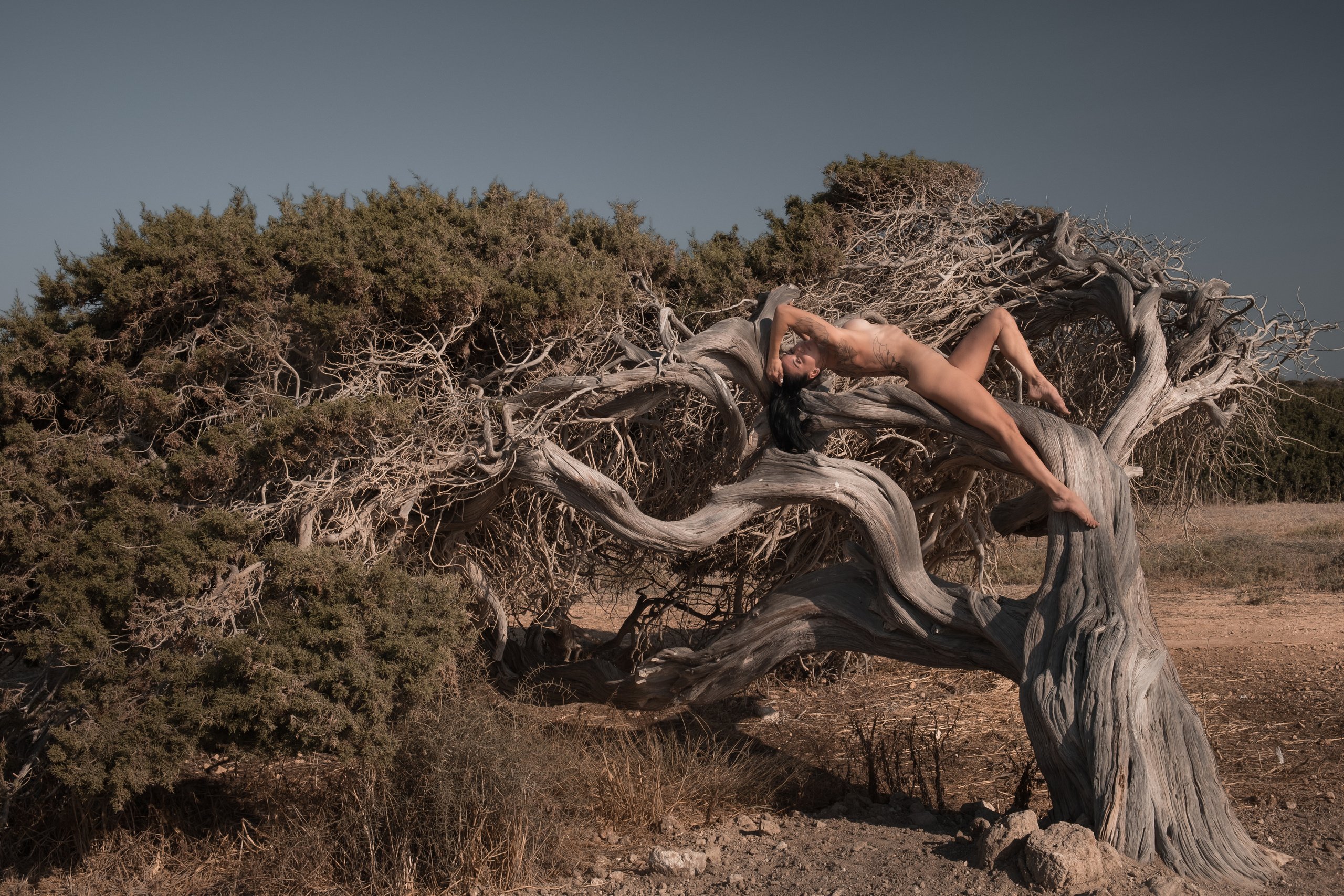 Girl and the tree. Photographer in Cyprus Lena Kirilishina