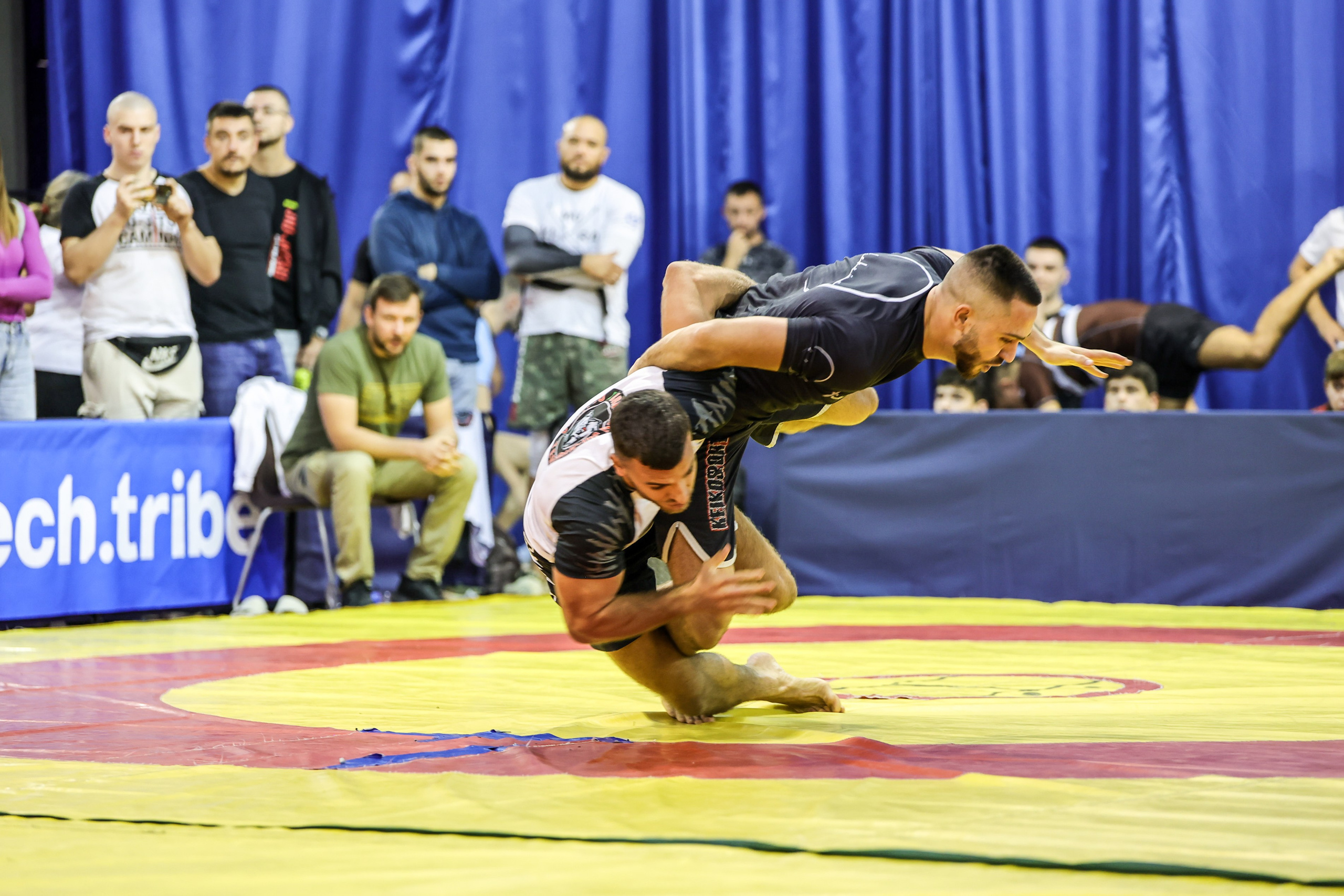 NO GI Challenge Novi Sad