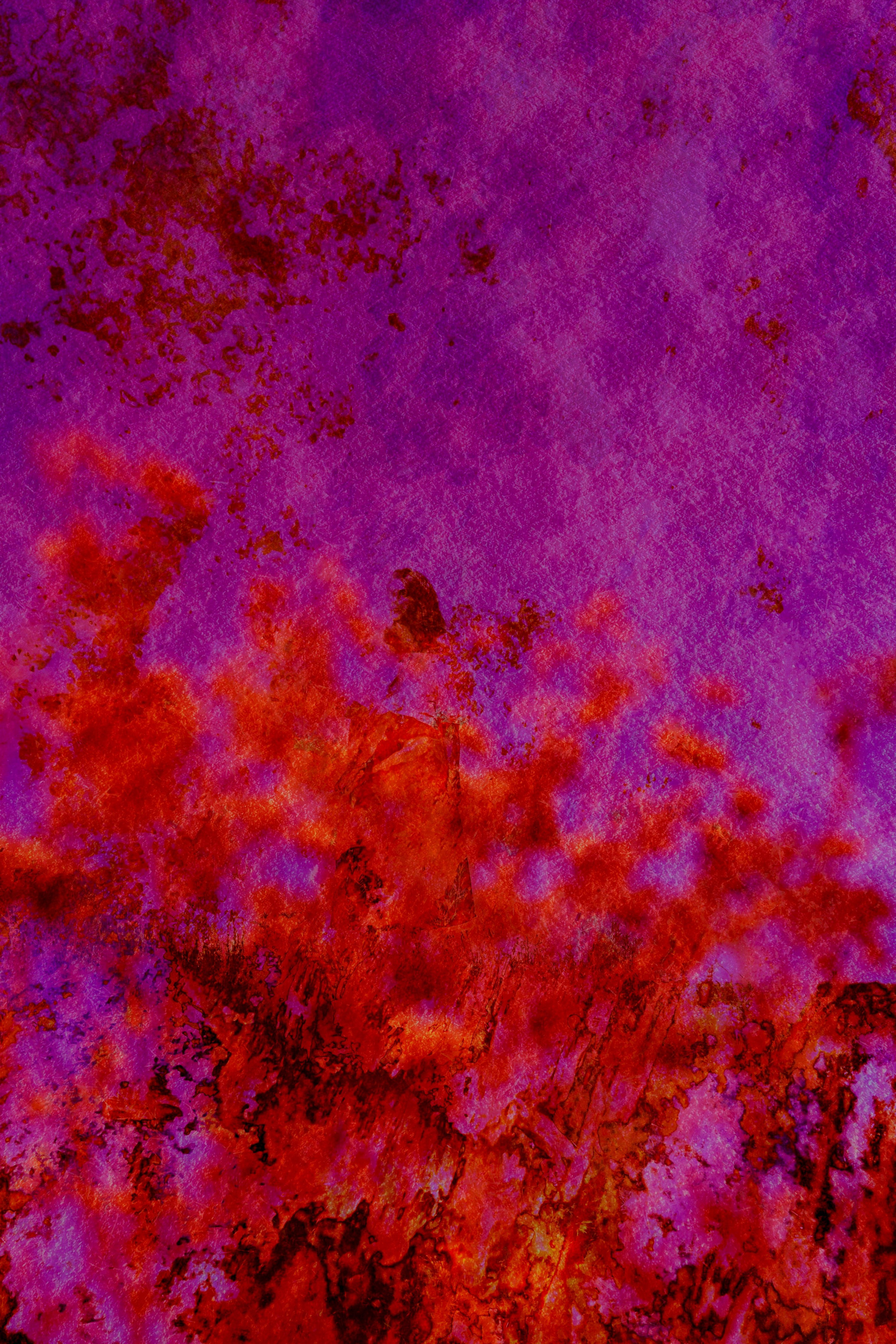 Проекти. Фотограф Оксана Ляшенко Дніпро Україна Oksain