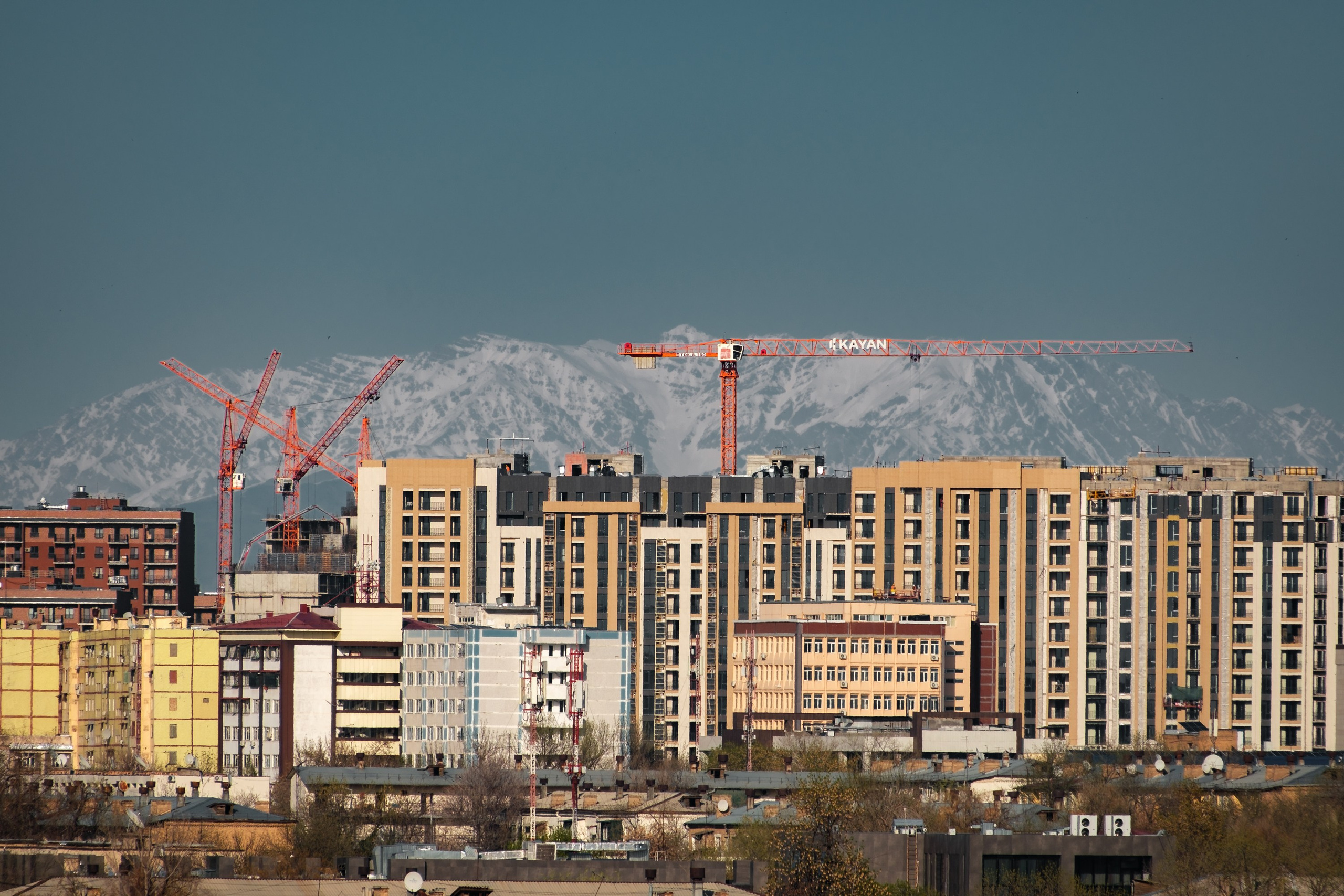 Обзор на объектив 16-300мм Sigma. Личные впечатления и опыт использования. Фотограф Григорий Кравец