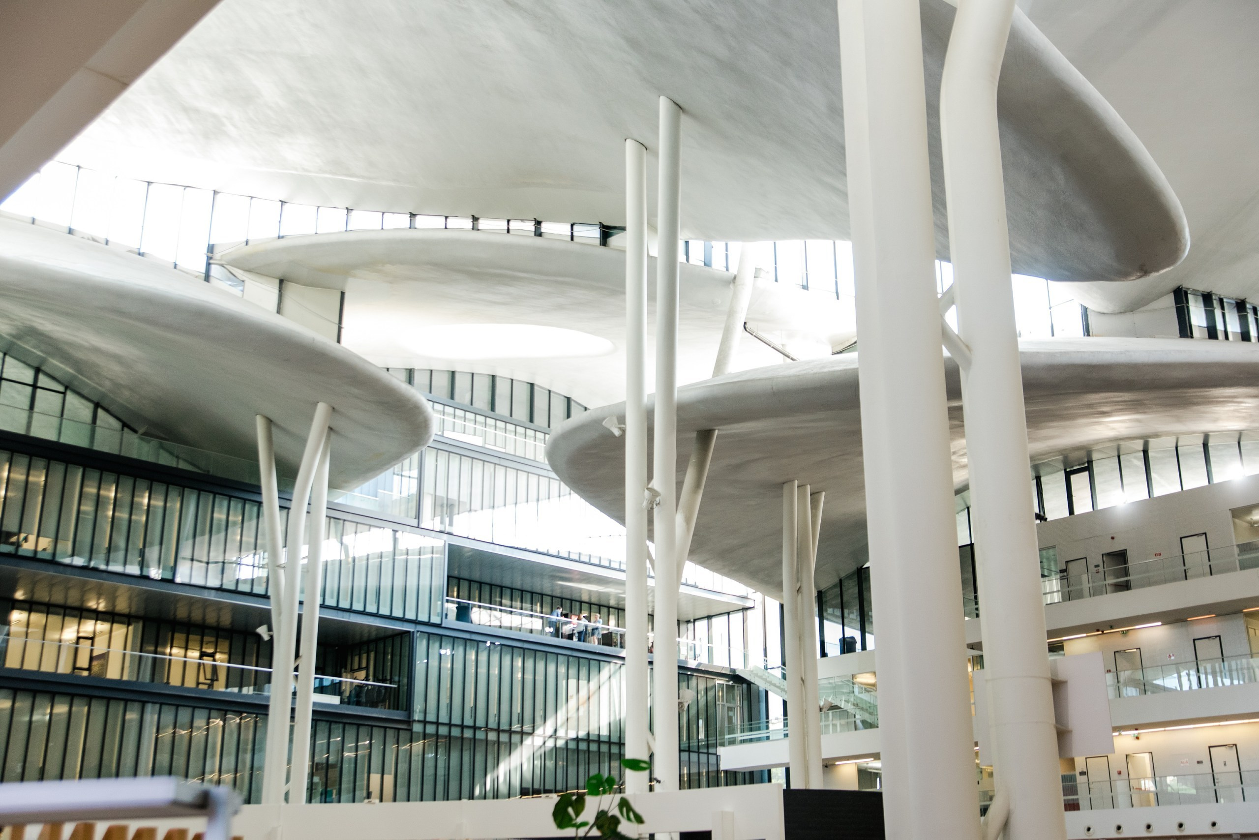 Без церемонии. Арт Ивент Студио — Самое рейтинговое свадебное агентство в Грузии