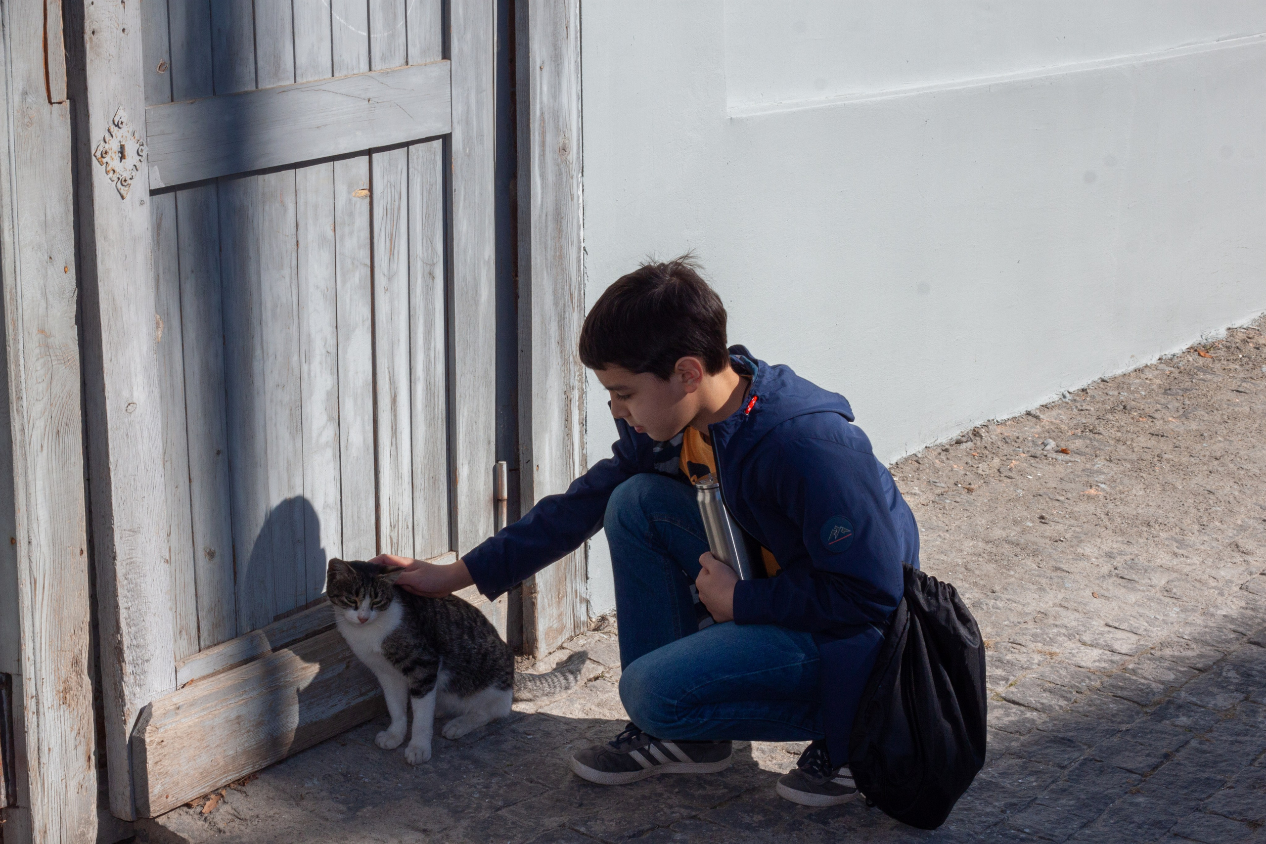 სიღნაღი გადარბენით. FramefreeMan