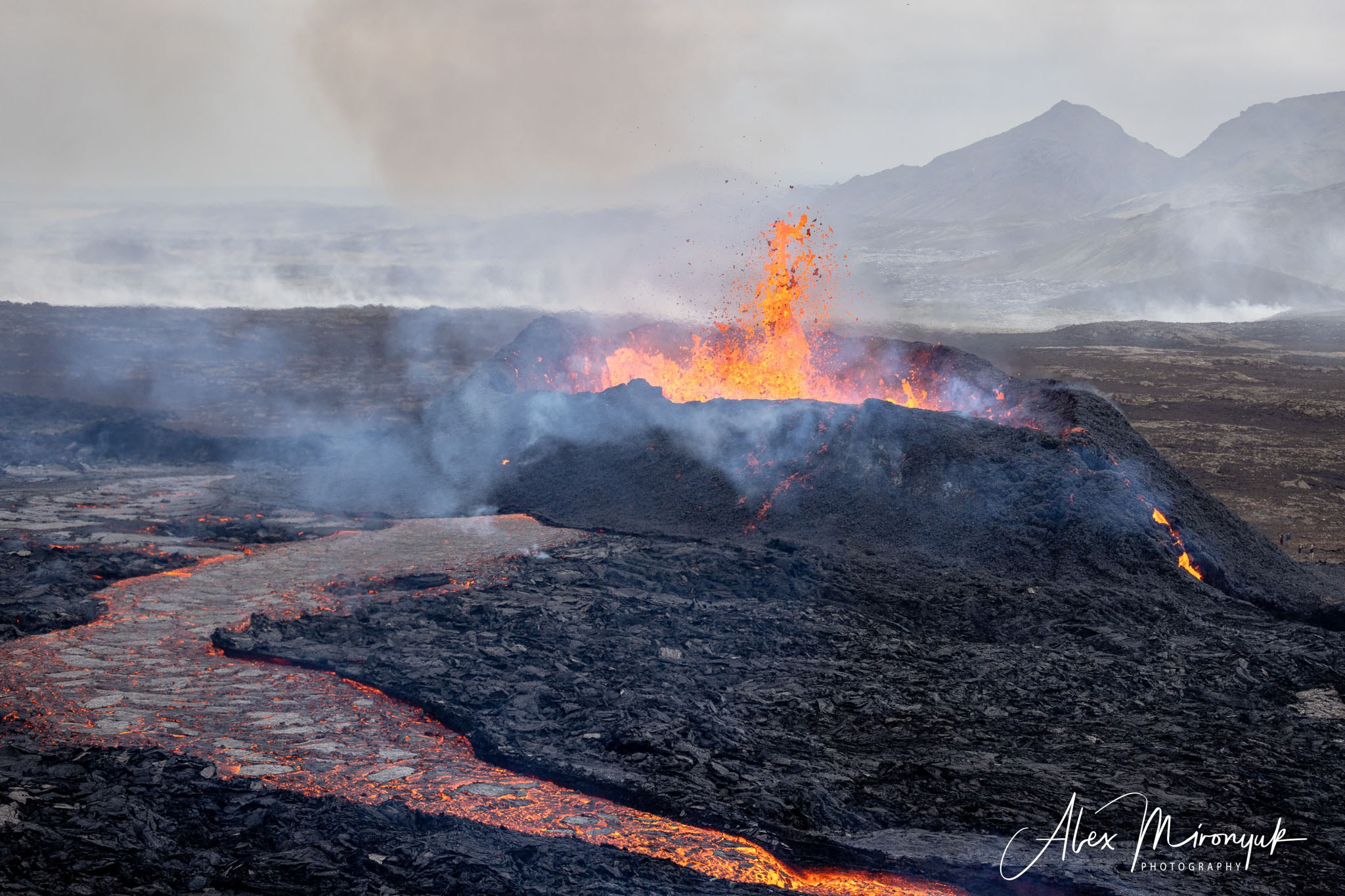 Unforgettable Iceland. Pet, Senior, Landscape, portrait studio, photographer in Miami and Sou