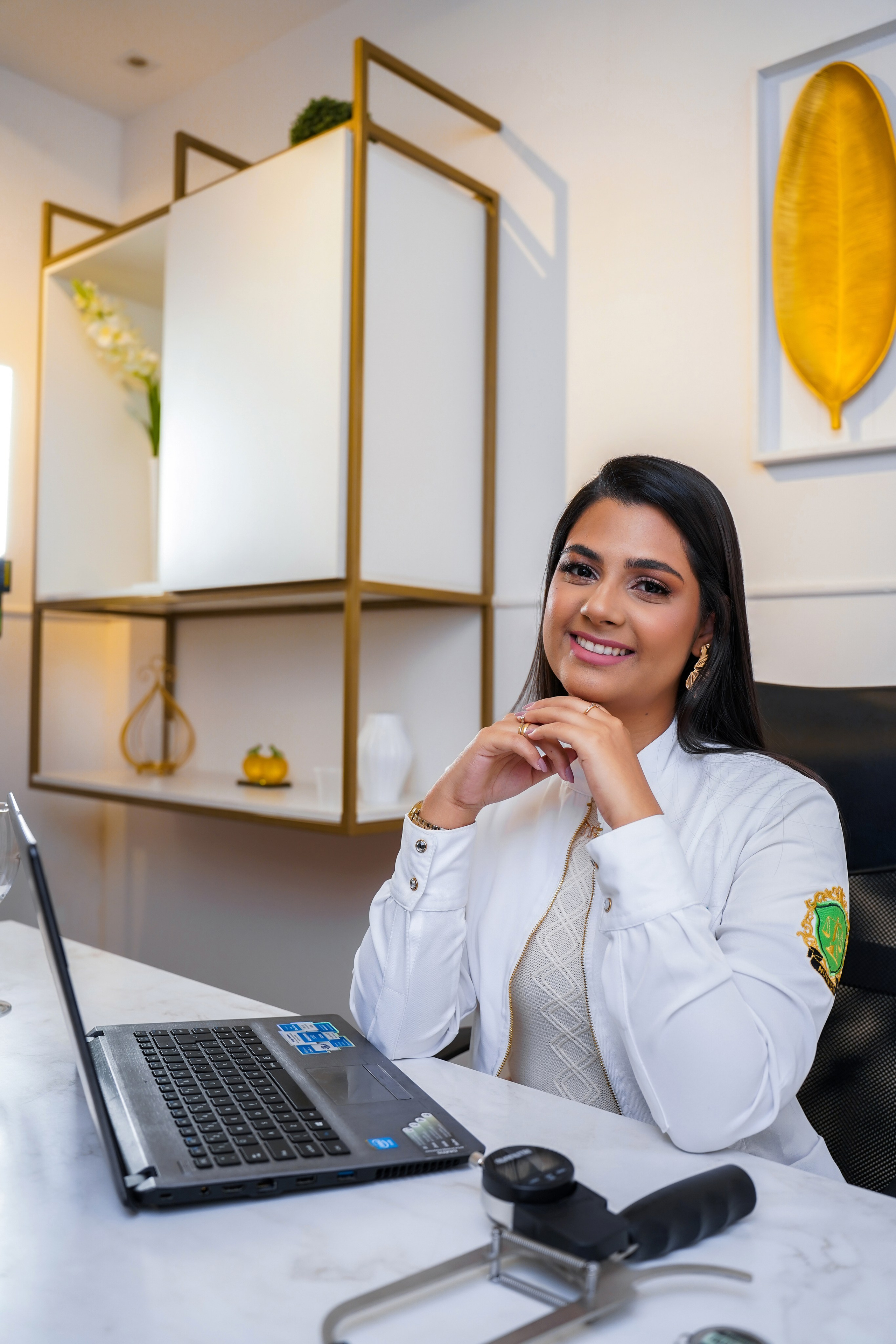 Institucionais. Início