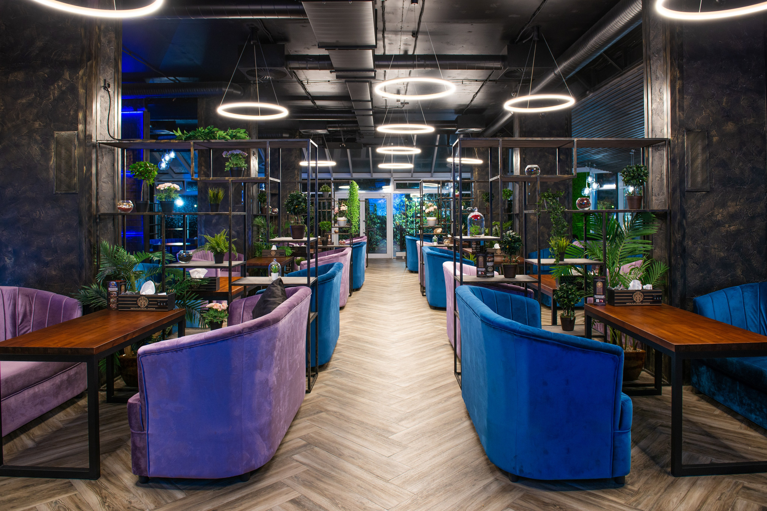 Кальянная Мята Platinum Химки. ФОТОГРАФ МЕКСИКА КИНТАНА-РОО