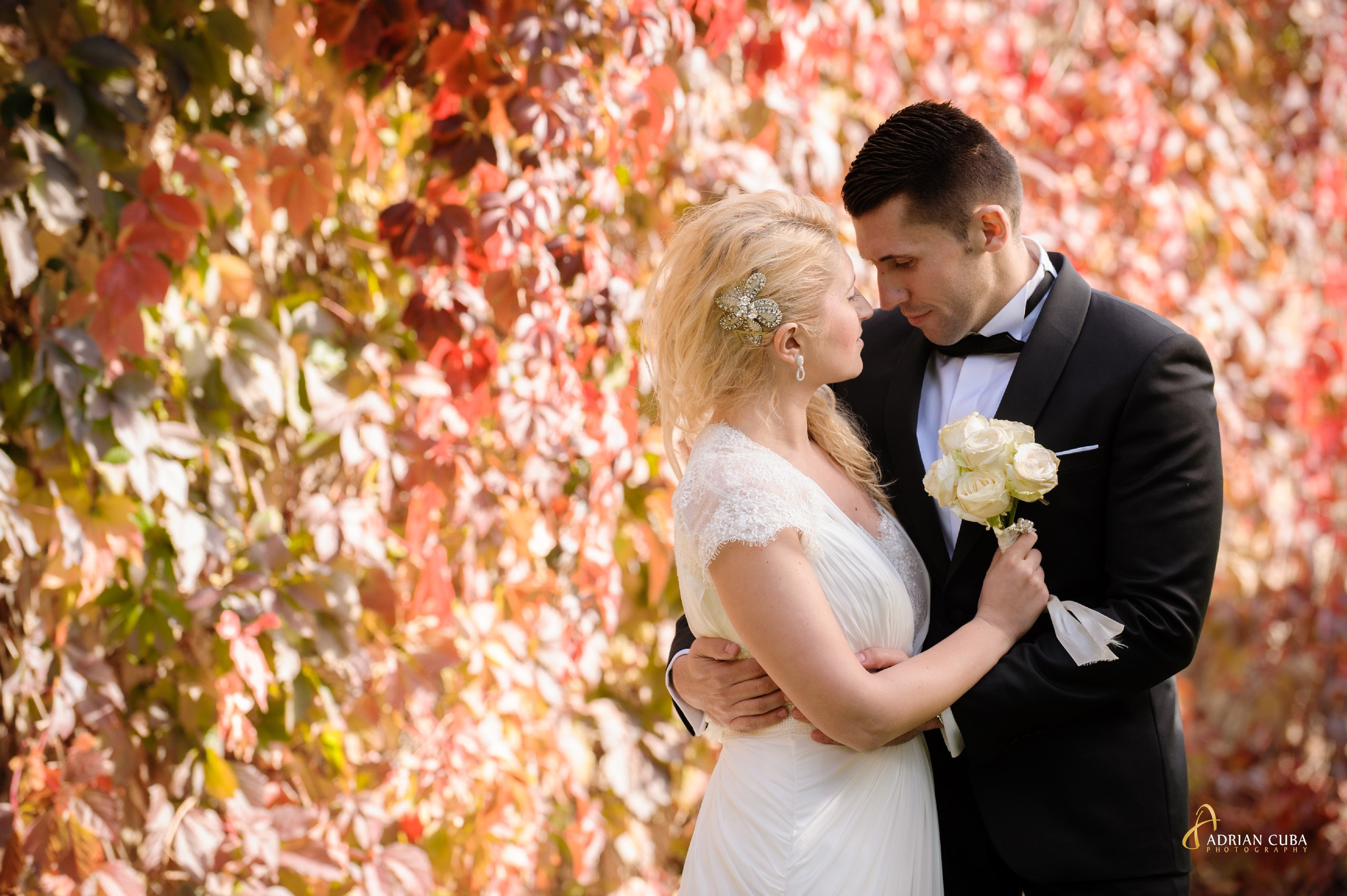 Fotograf nunta Iasi | Adrian Cuba — servicii profesionale de fotografie de nunta