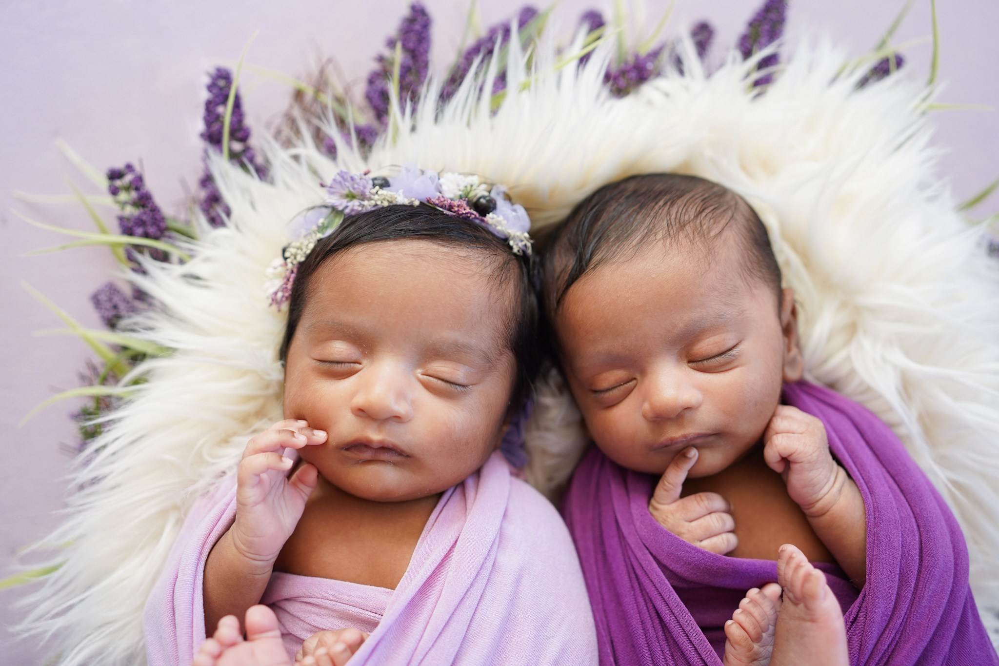 Posed Newborn. Maternity, family and newborn photography in San Francisco Bay Area