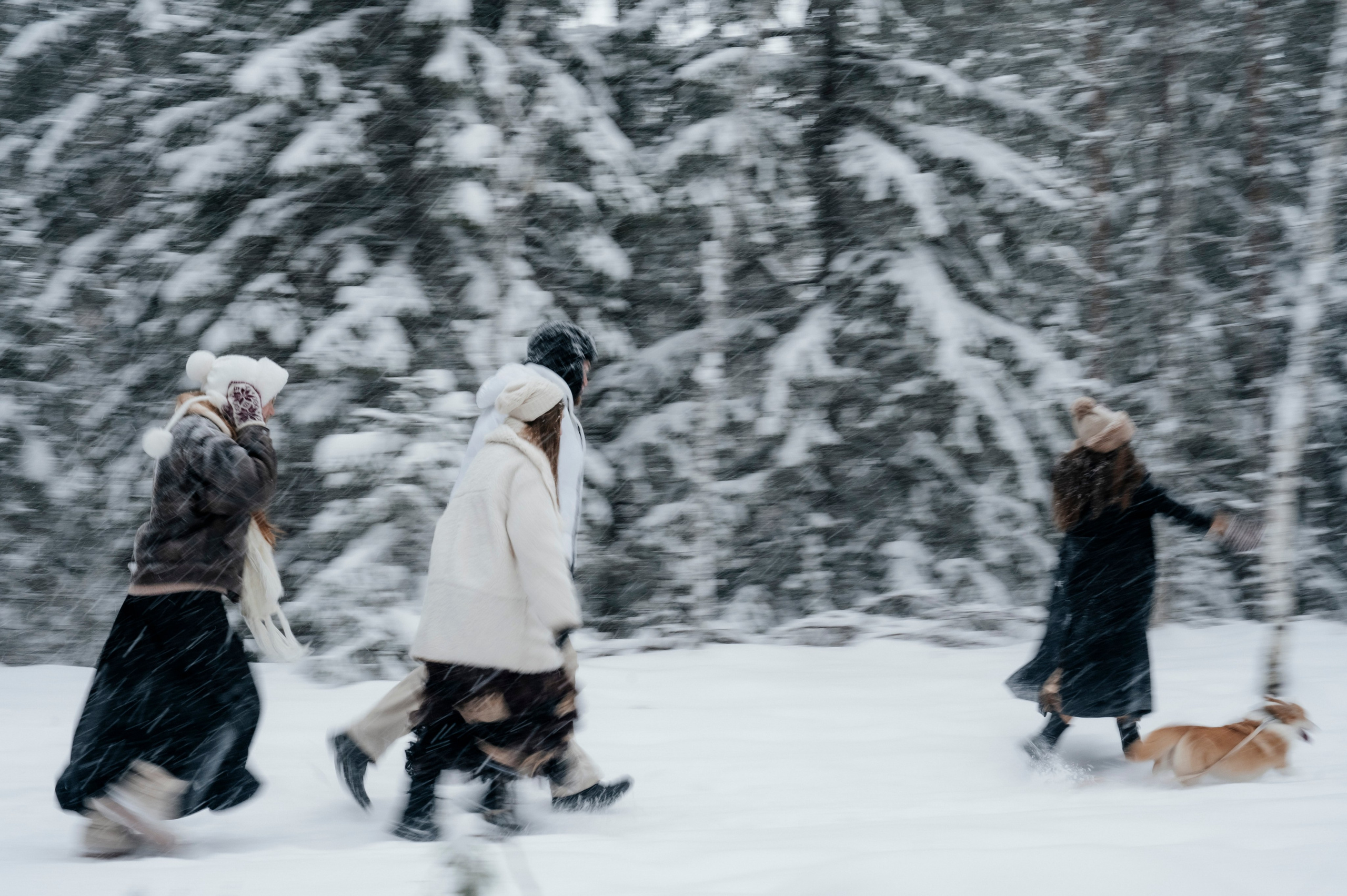 Семья/пара. Фотограф Таллинн — свадьба |семья | lovestory