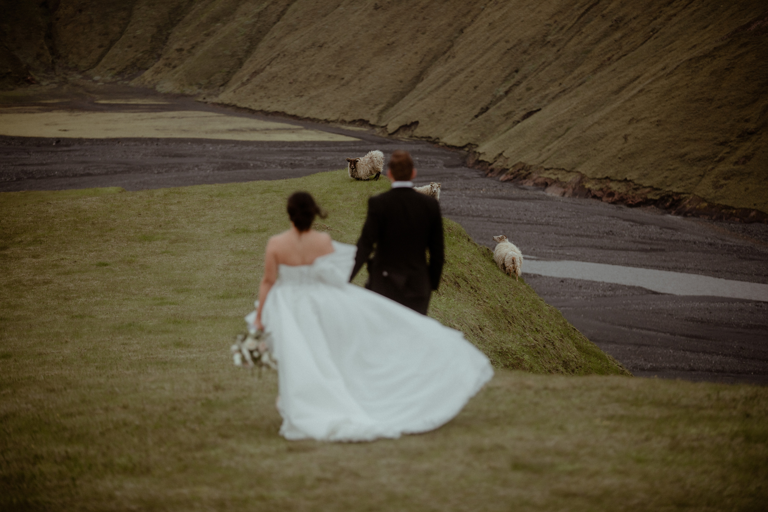 Charming South Iceland Elopement. Iceland elopement photographer & videographer