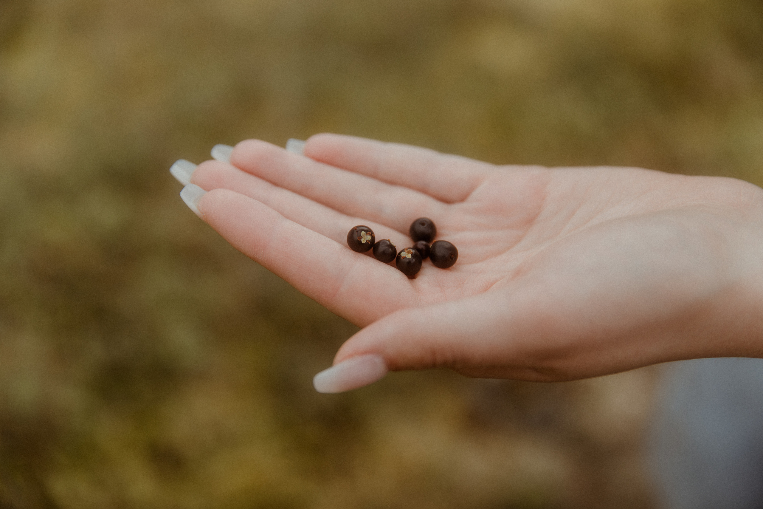 Iceland Secret Waterfall Elopement. Iceland elopement photographer & videographer