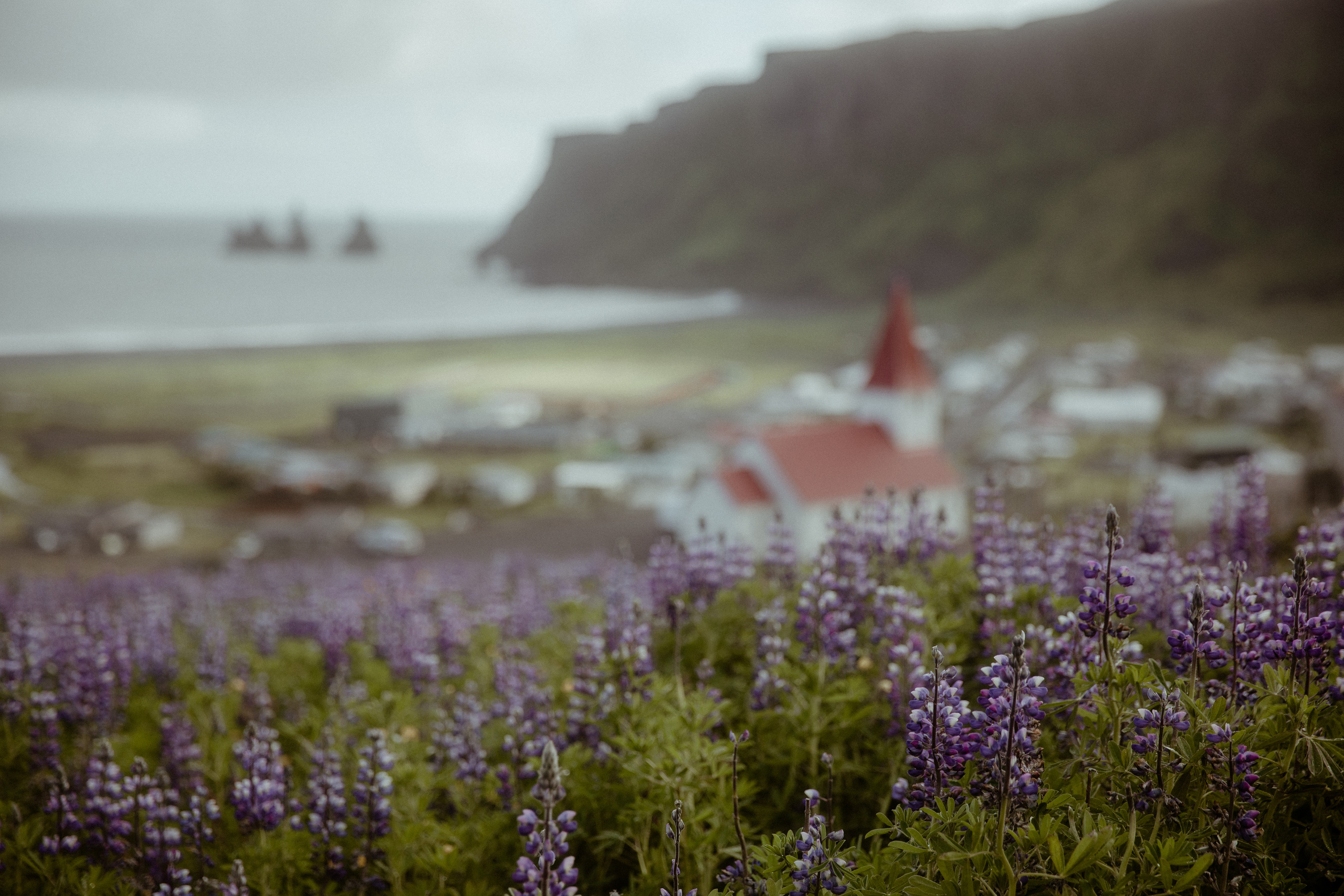 Private Black Sand Beach Elopement. Iceland elopement photographer & videographer