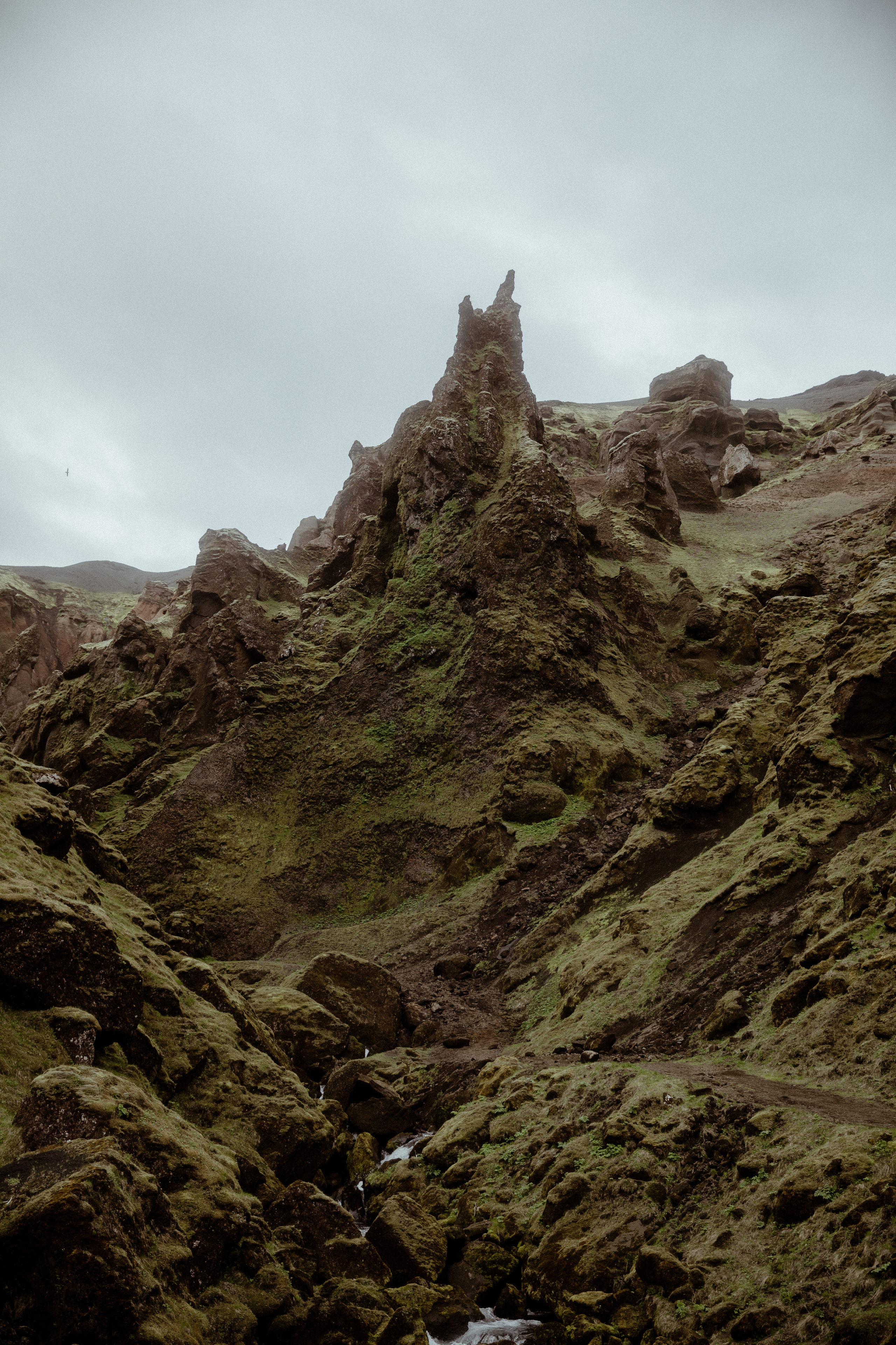 Charming South Iceland Elopement. Iceland elopement photographer & videographer