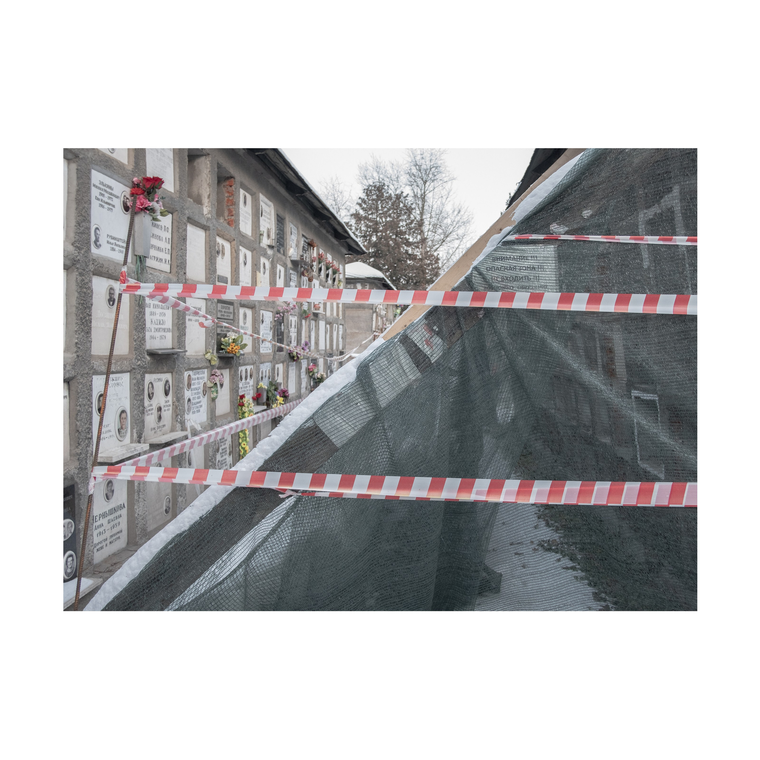 Phoenix. Nelly Elagina