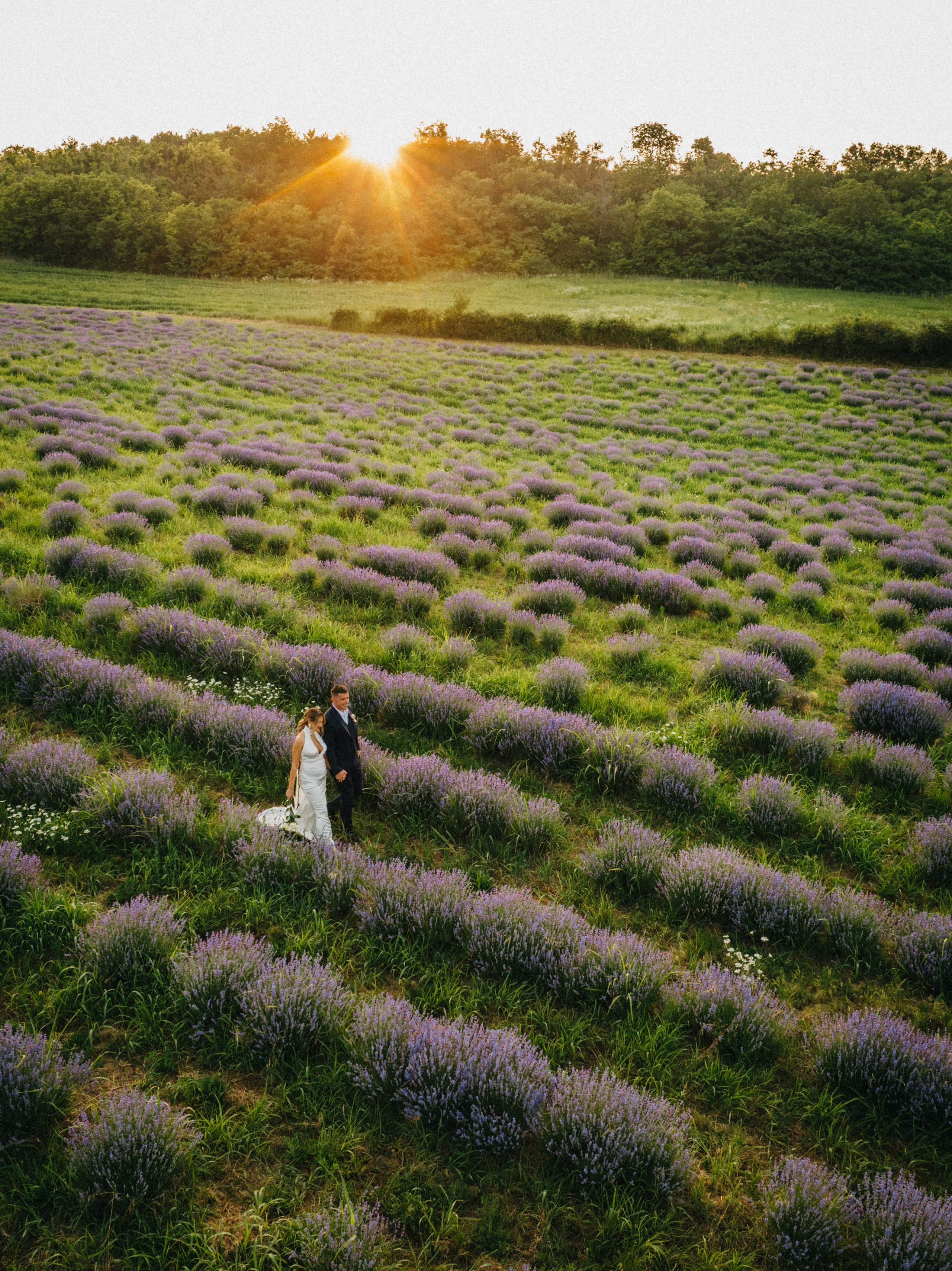 Željka & Njegoš. Wedding photography