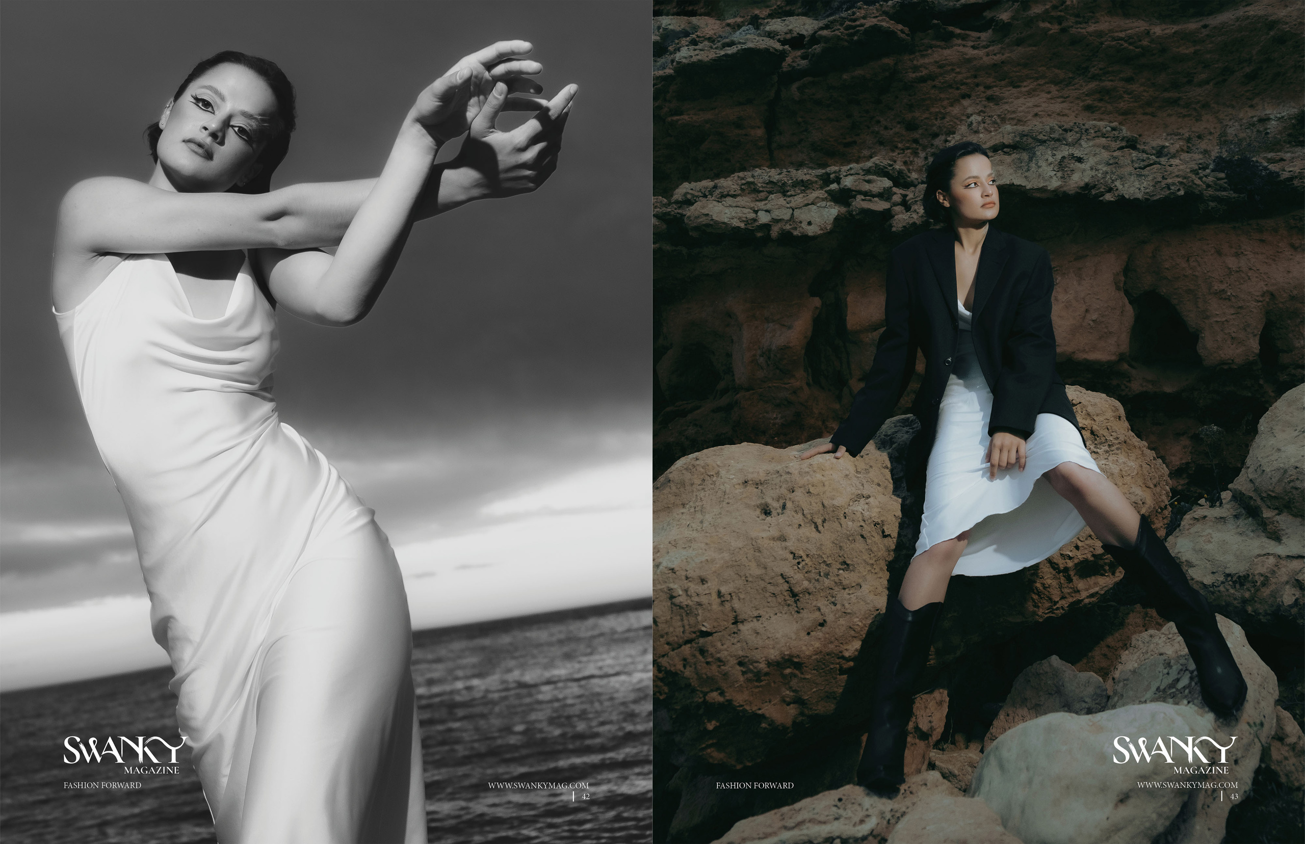 The best publications of the project Dusk in Silence