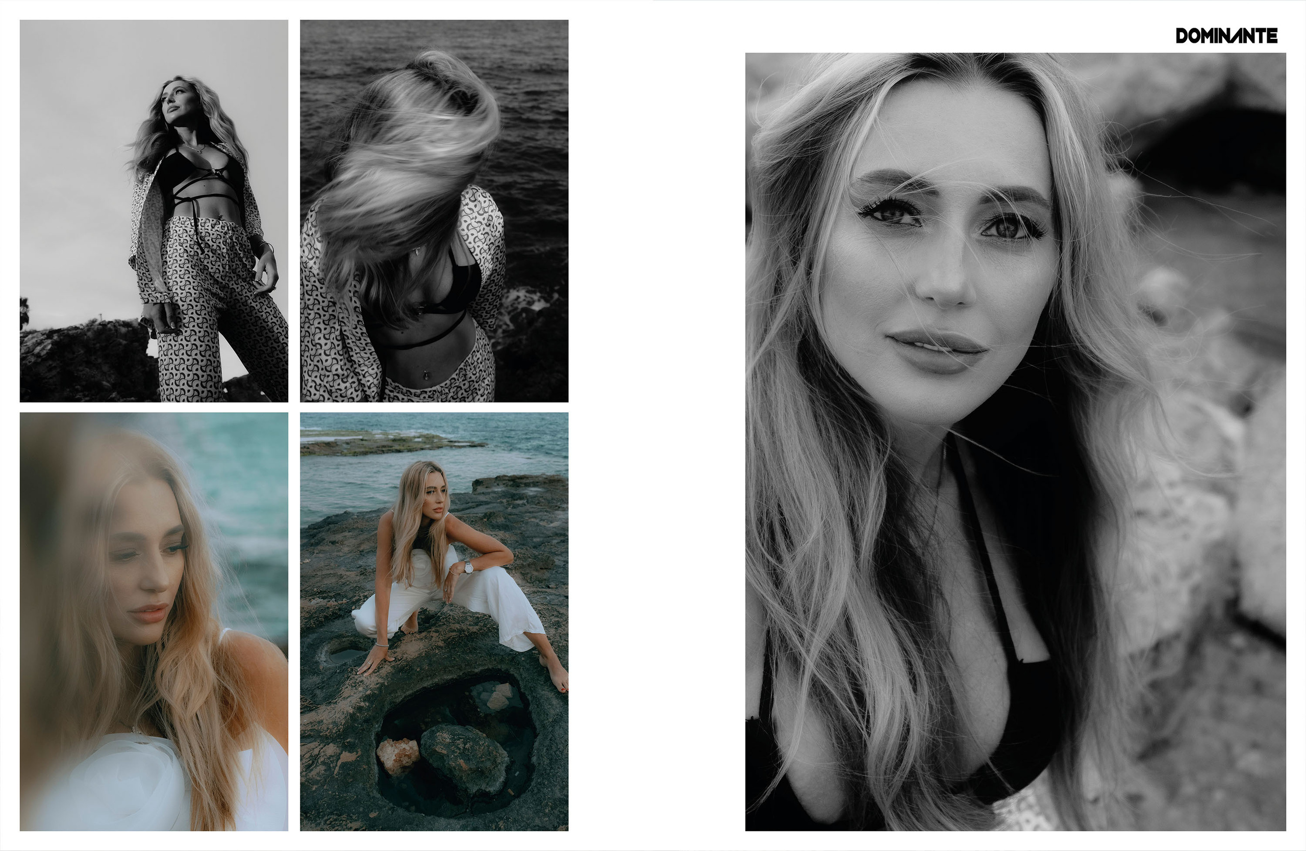 The best publications of the project Verona Bel