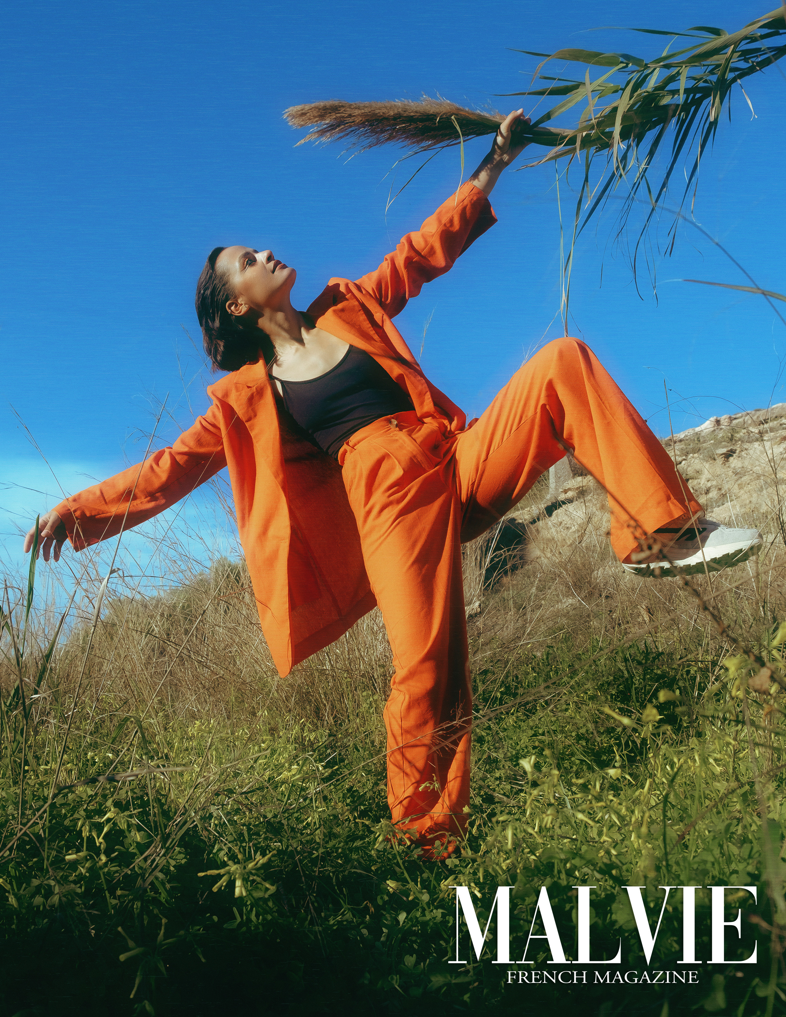 The best publications of the project Orange Orange