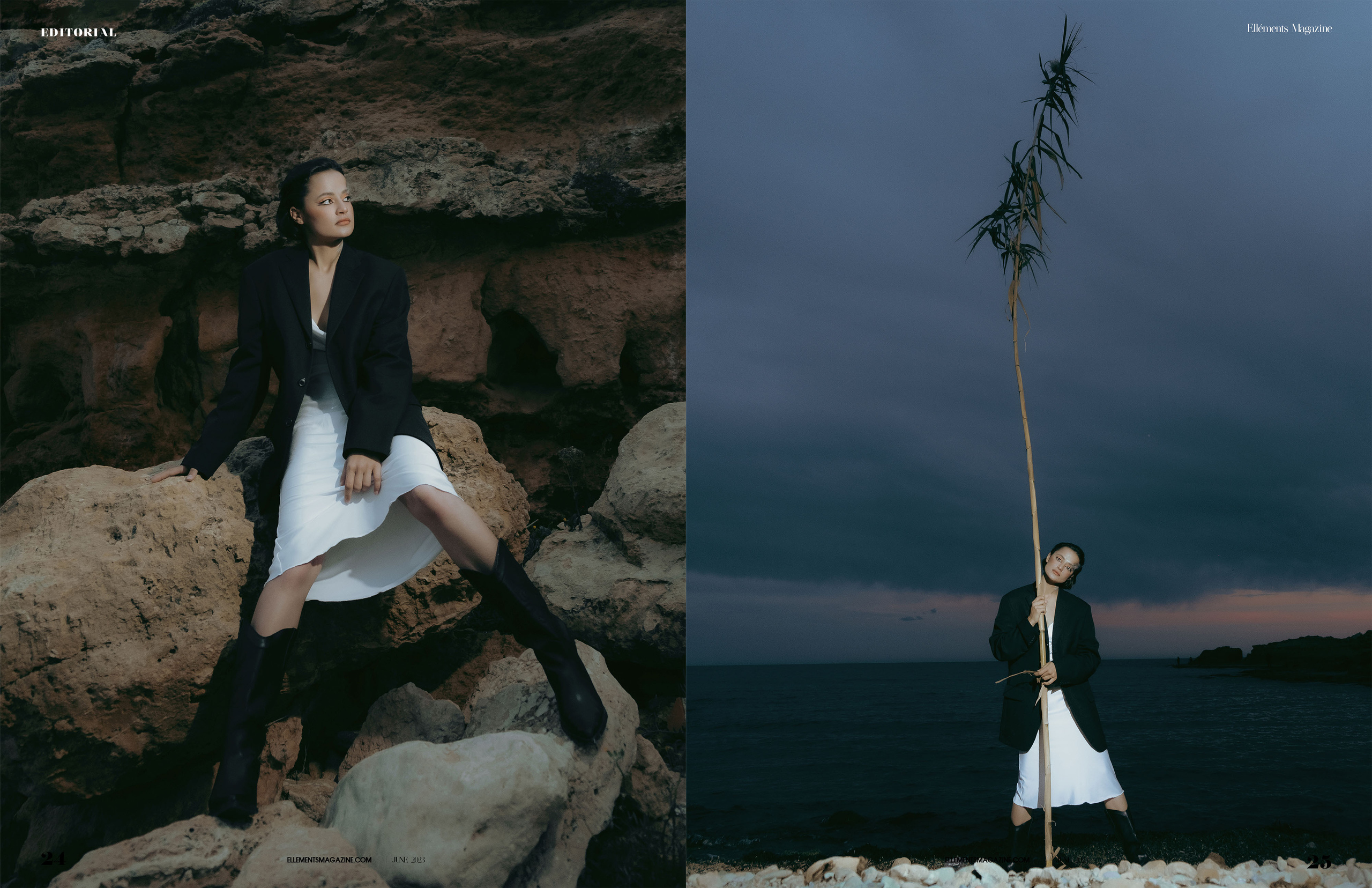 The best publications of the project Dusk in Silence