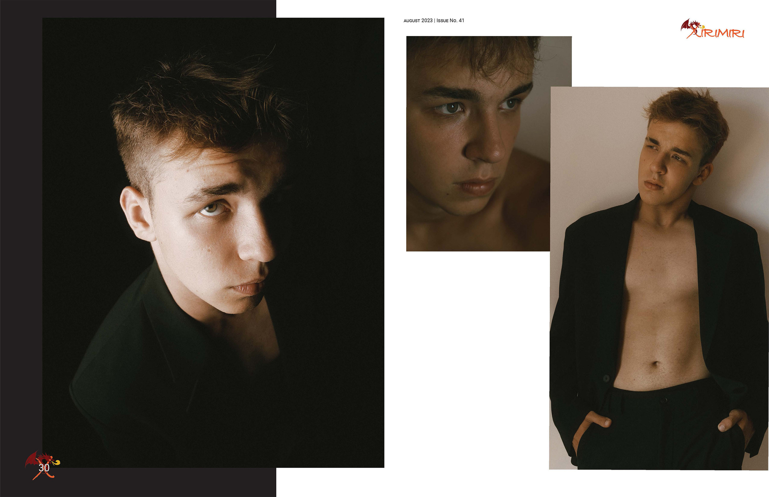 The best publications with Dmitrii Shlein