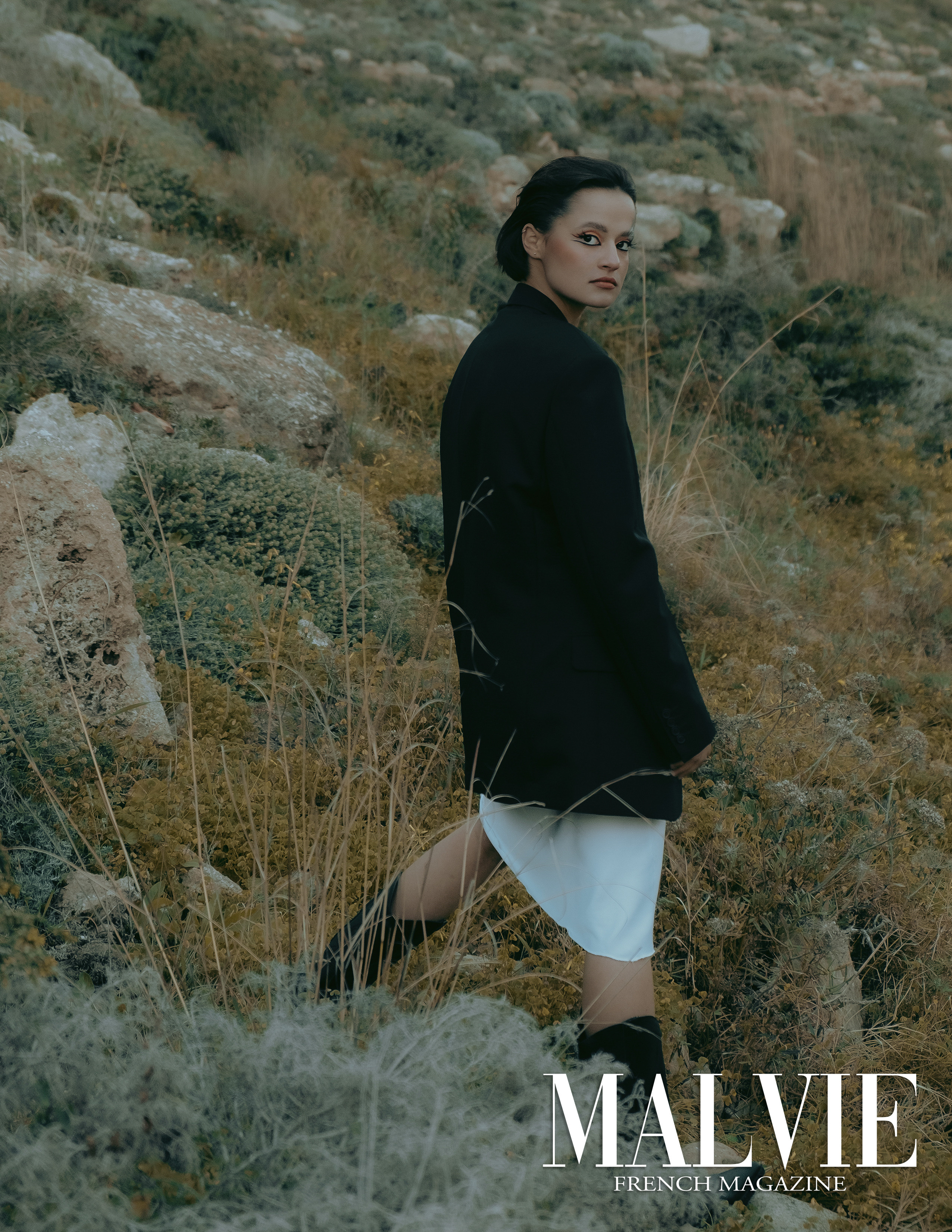 The best publications of the project Dusk in Silence