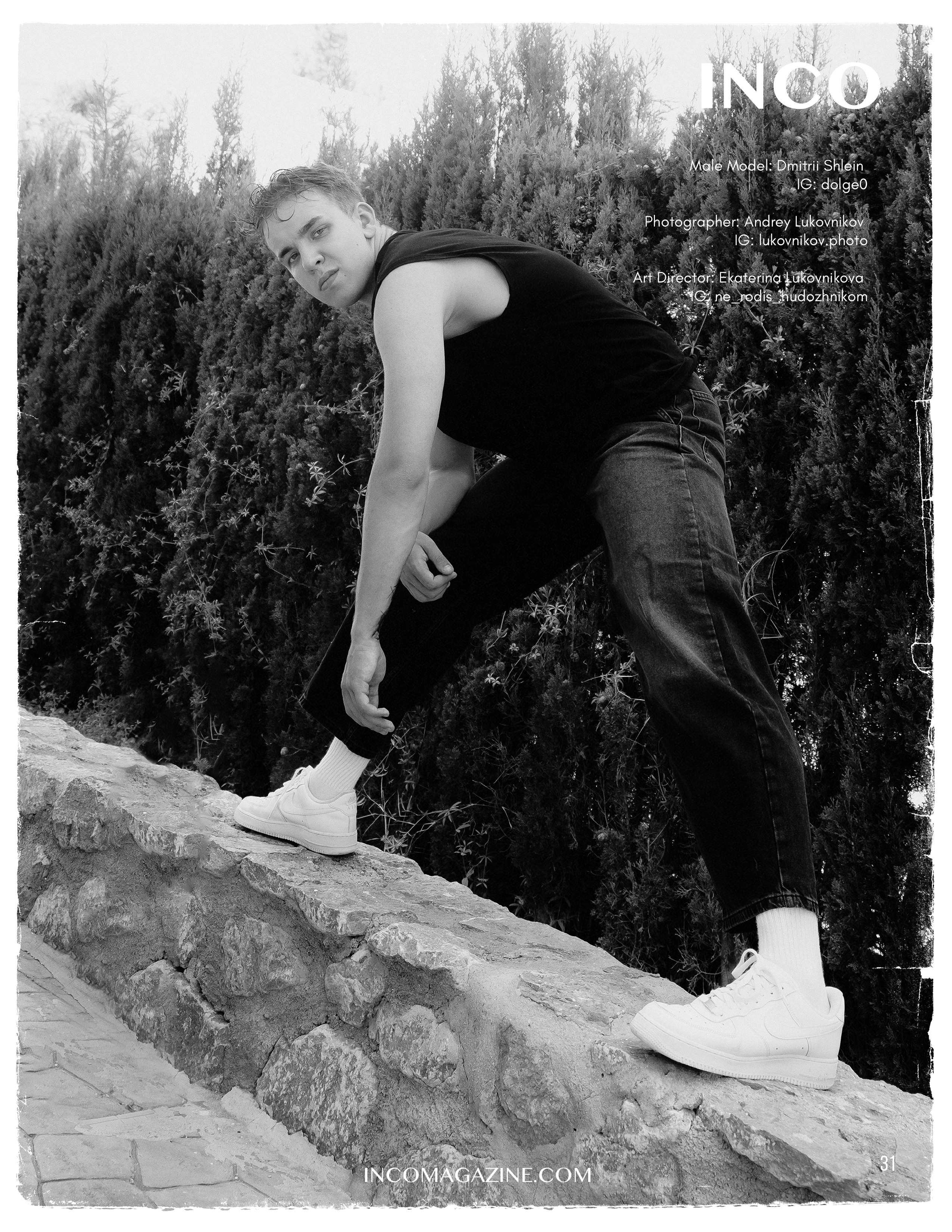 The best publications with Dmitrii Shlein