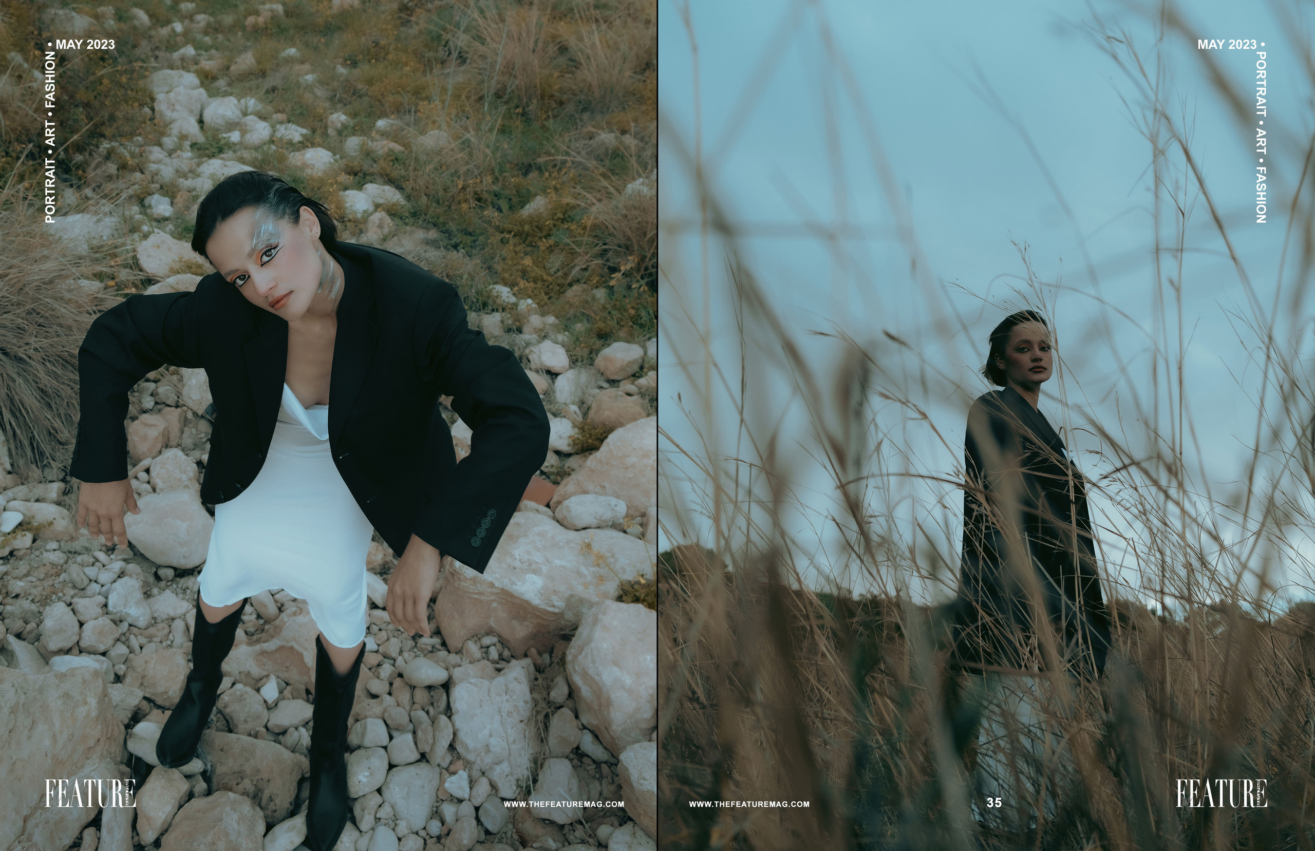 The best publications of the project Dusk in Silence