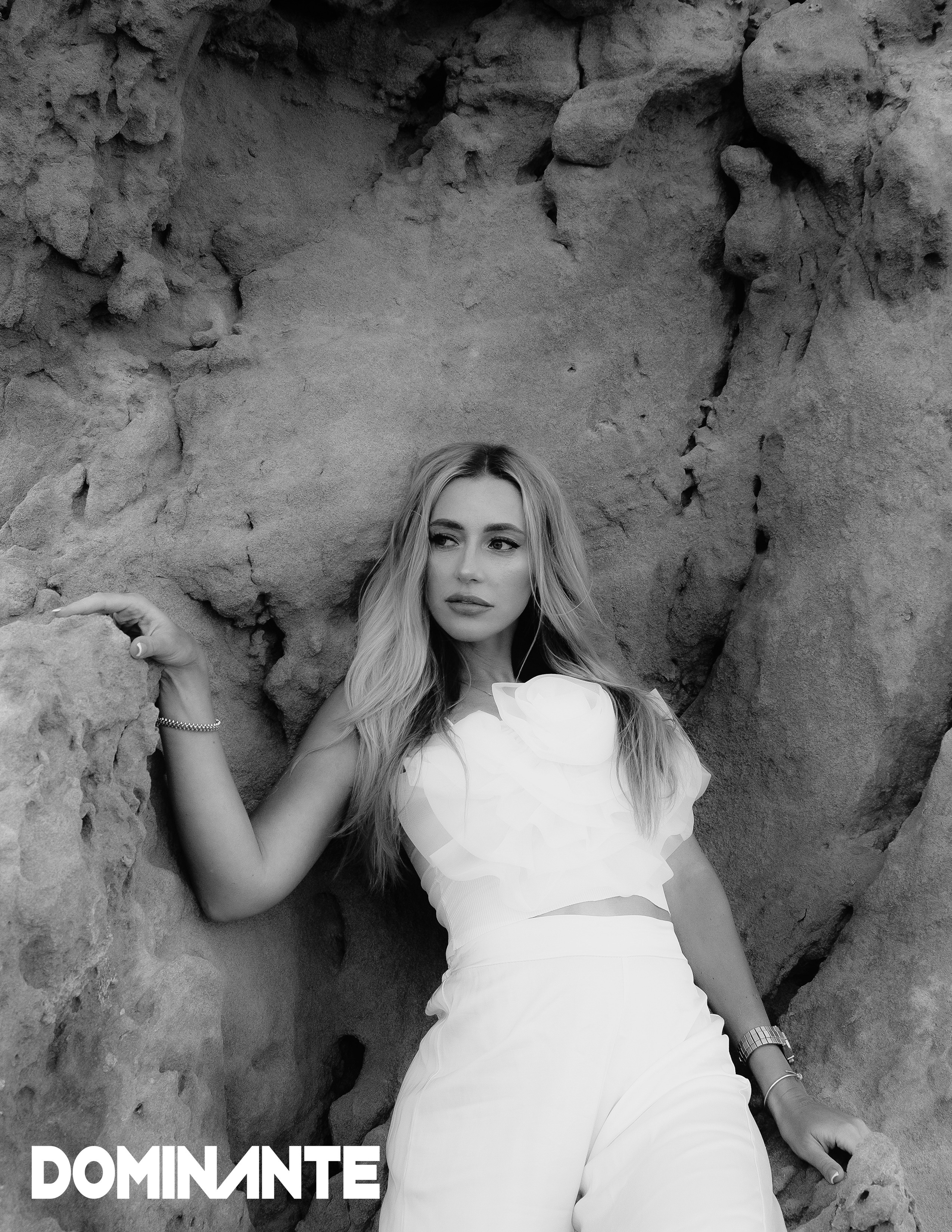 The best publications of the project Verona Bel