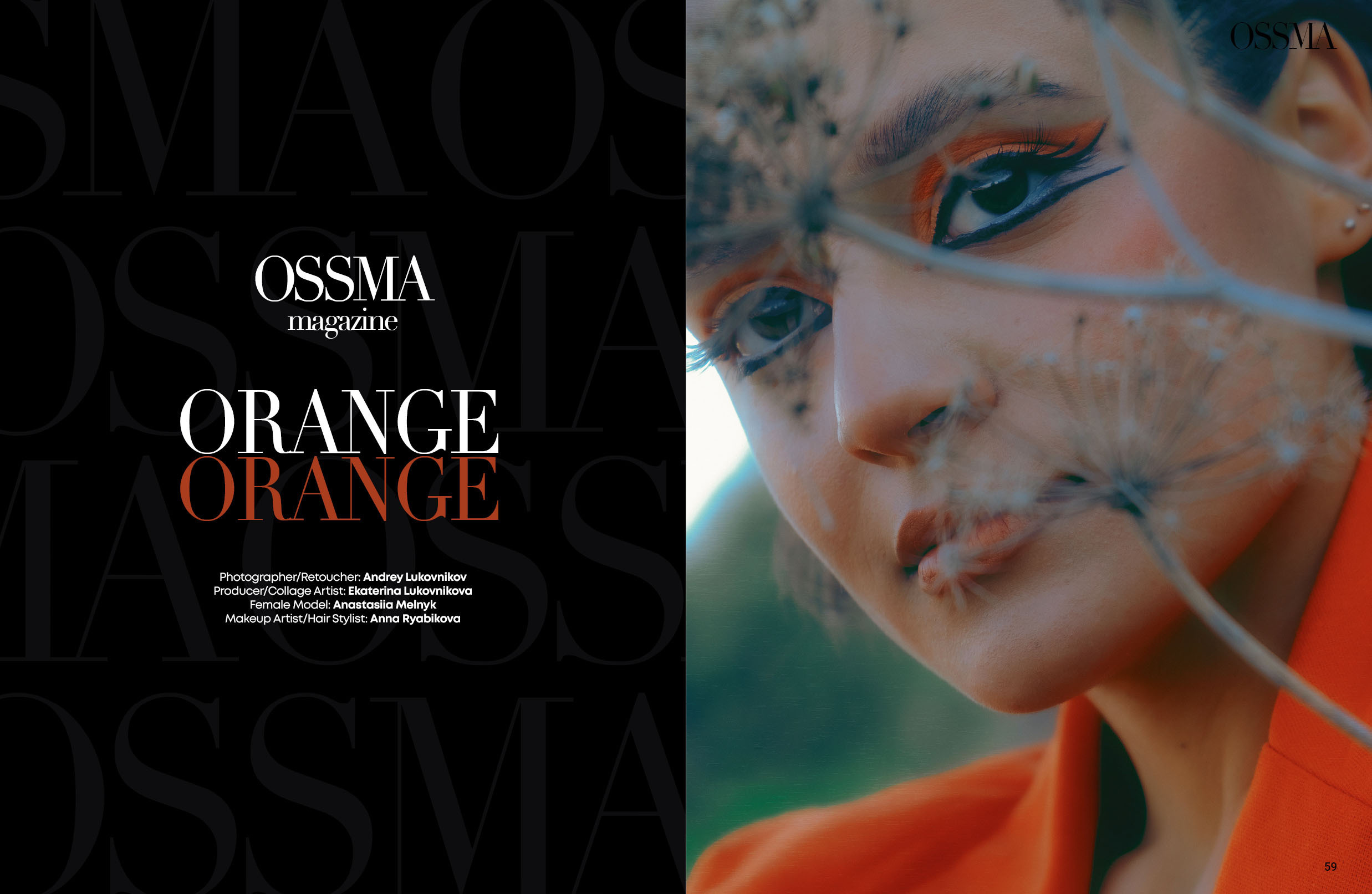 The best publications of the project Orange Orange