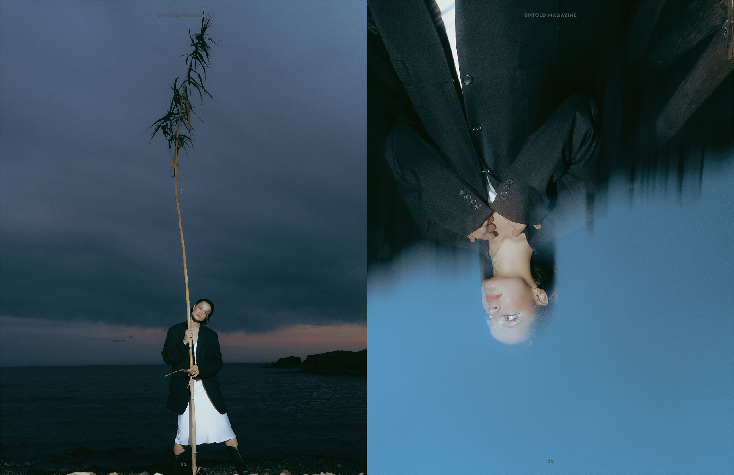 The best publications of the project Dusk in Silence