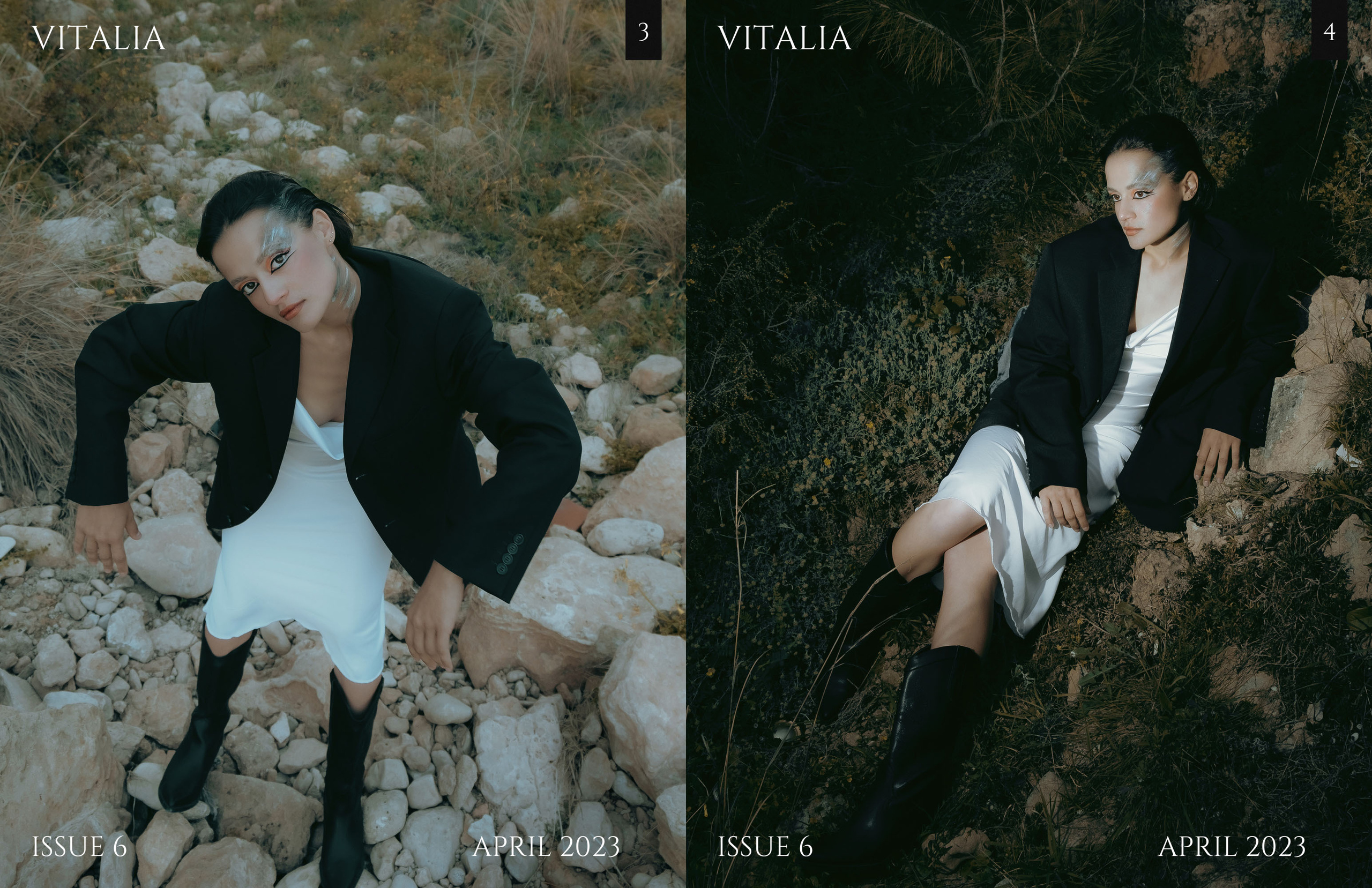 The best publications of the project Dusk in Silence